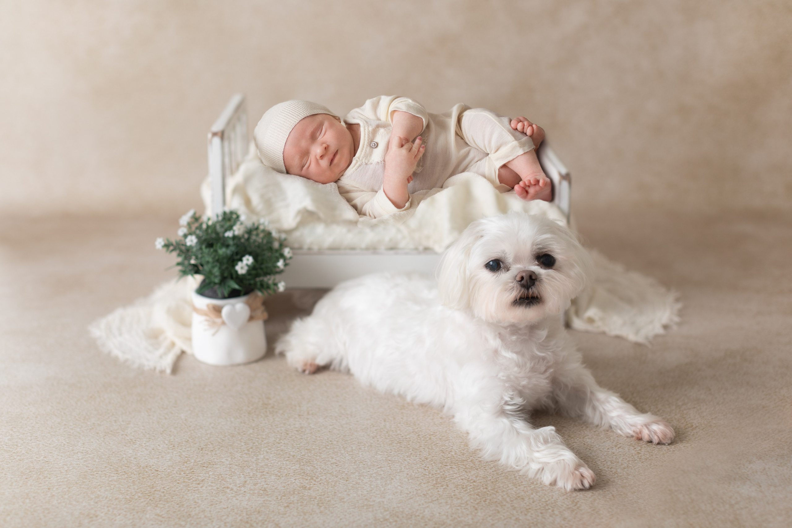 PH @bestmoments_newborn. Retoucher Aleksmokh