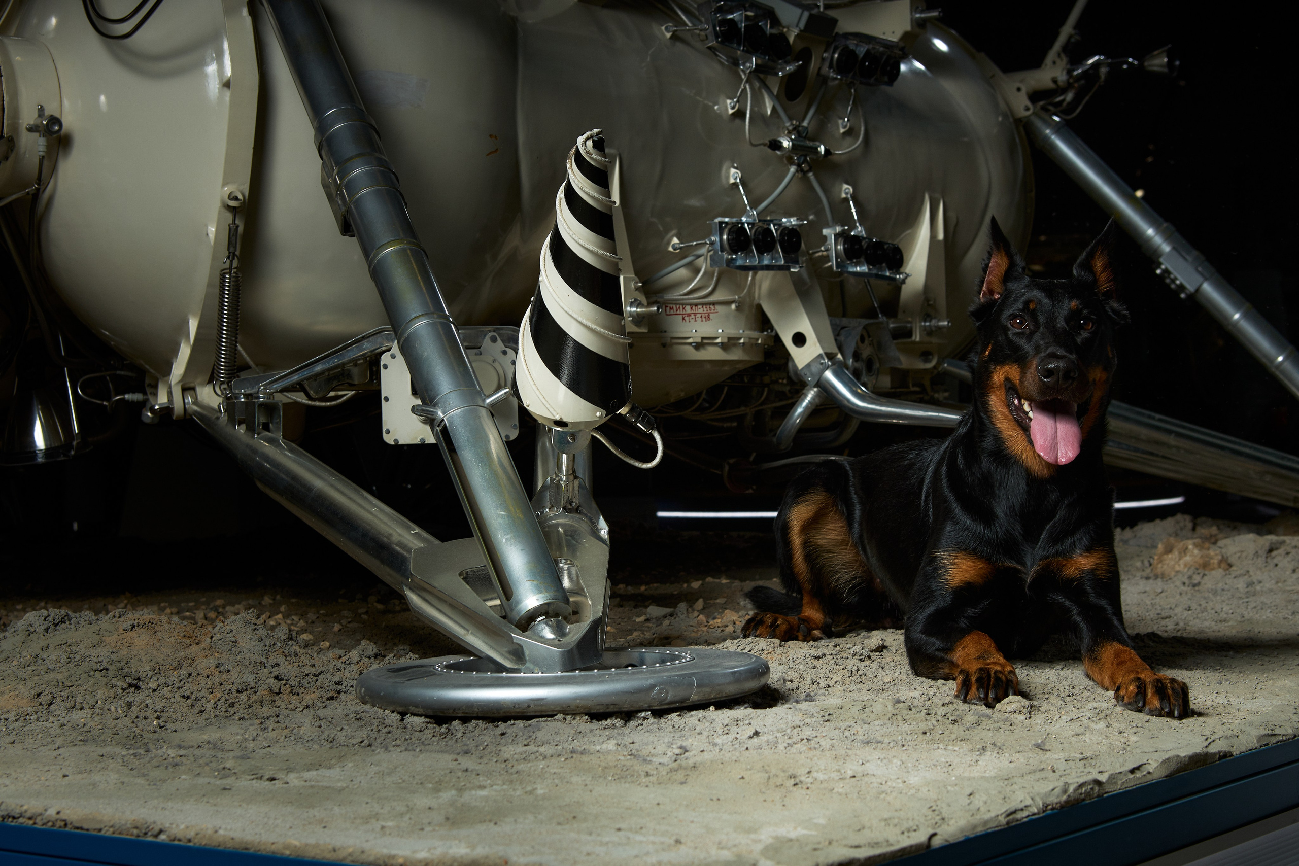 Фотопроект "На пути к своей звезде". Фотограф Михаил Стенин