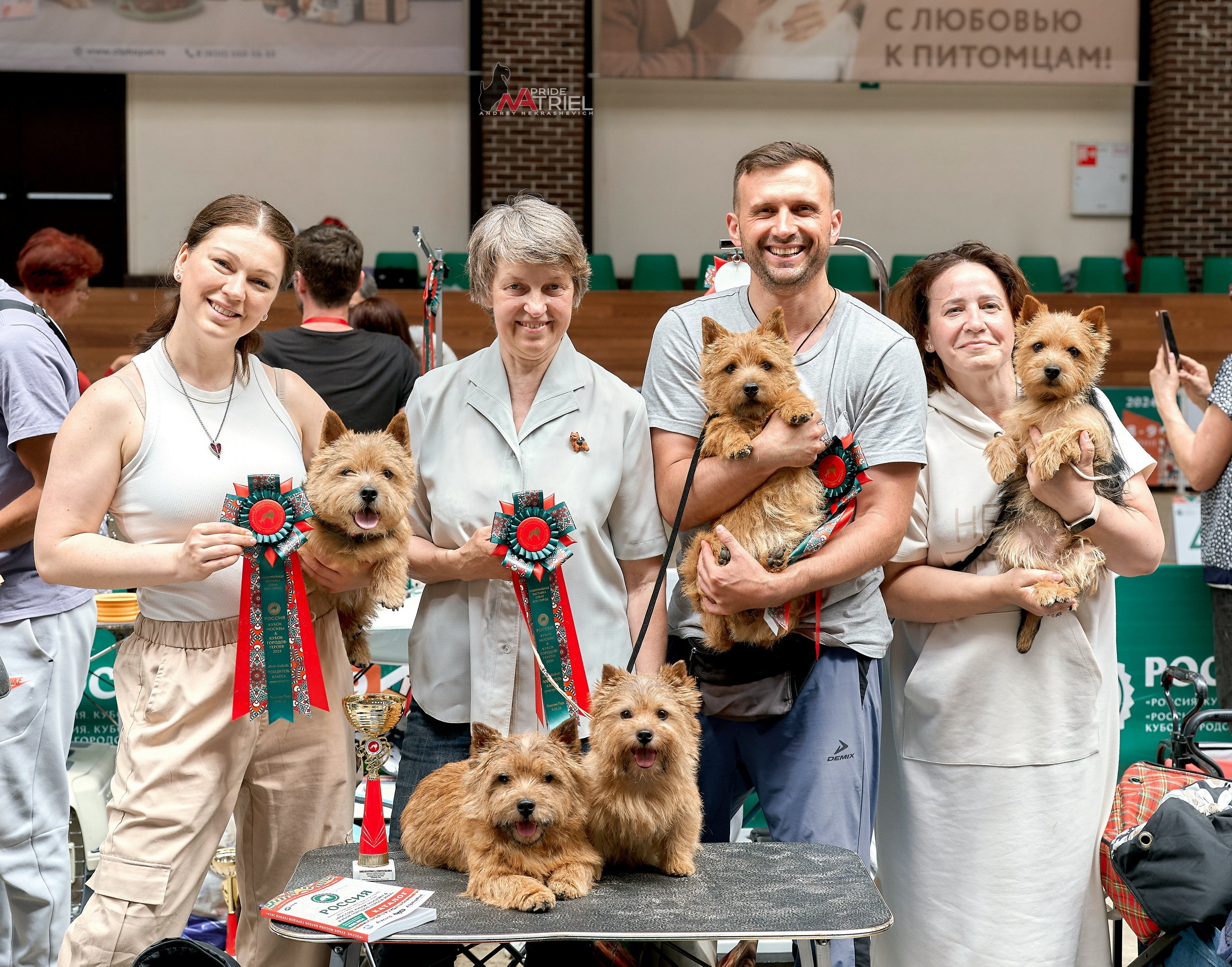 Призовые места — галерея NATRIEL