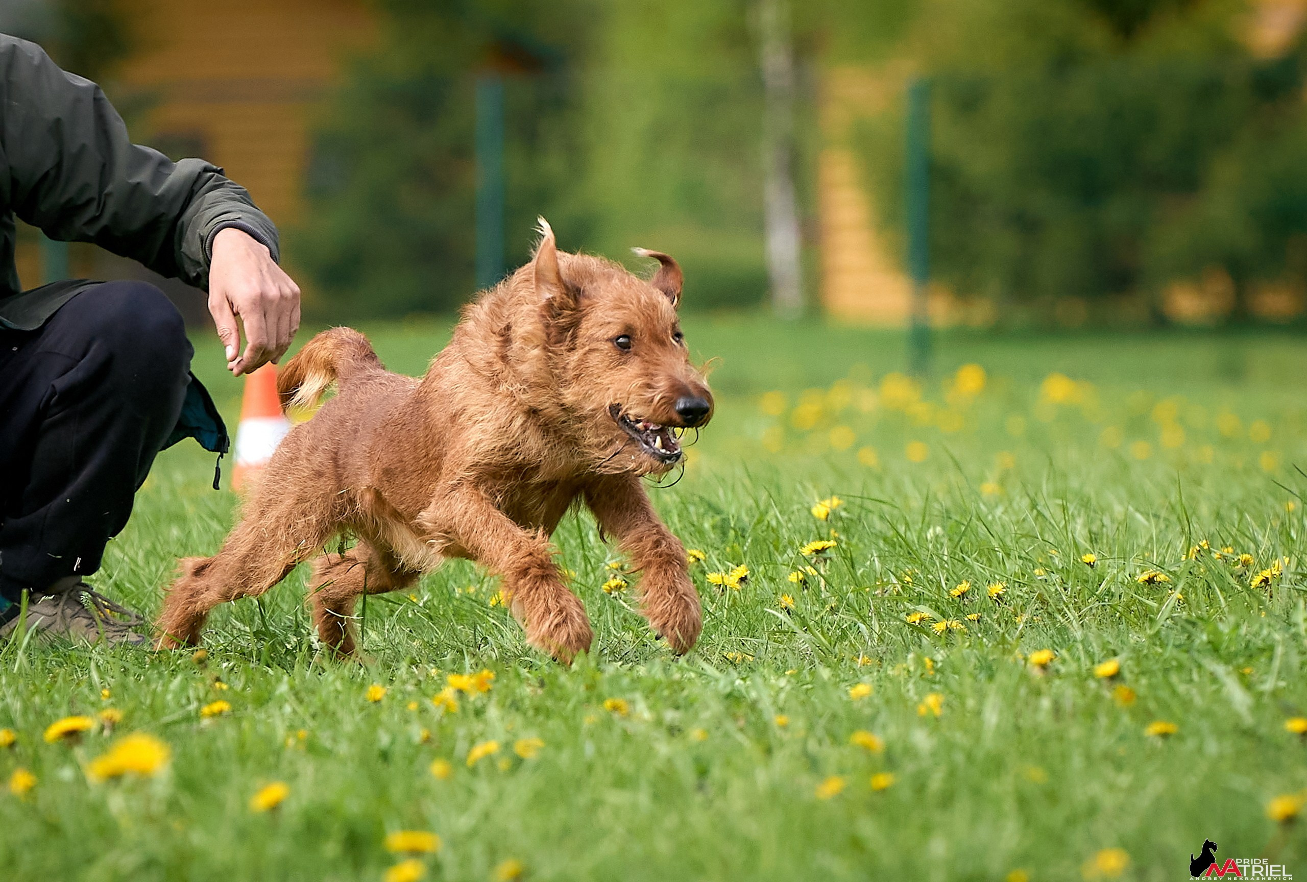 Съемка курсинг — галерея NATRIEL