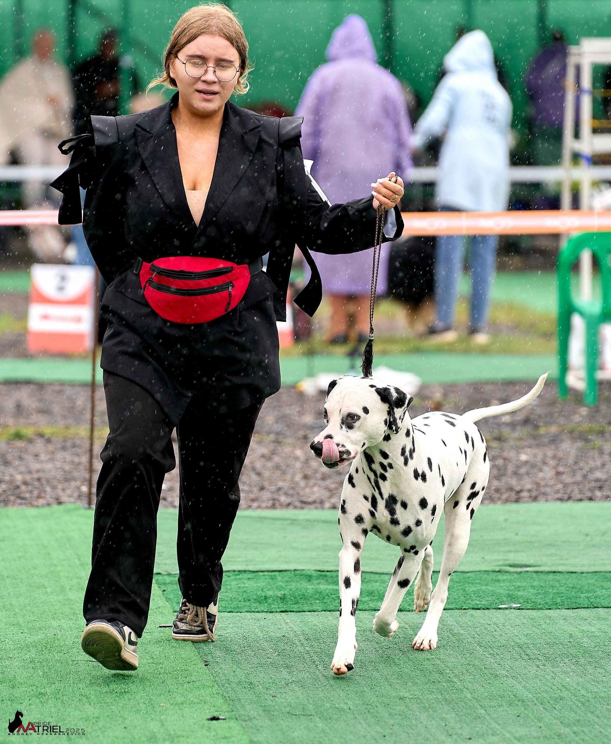 Репортаж с выставки собак