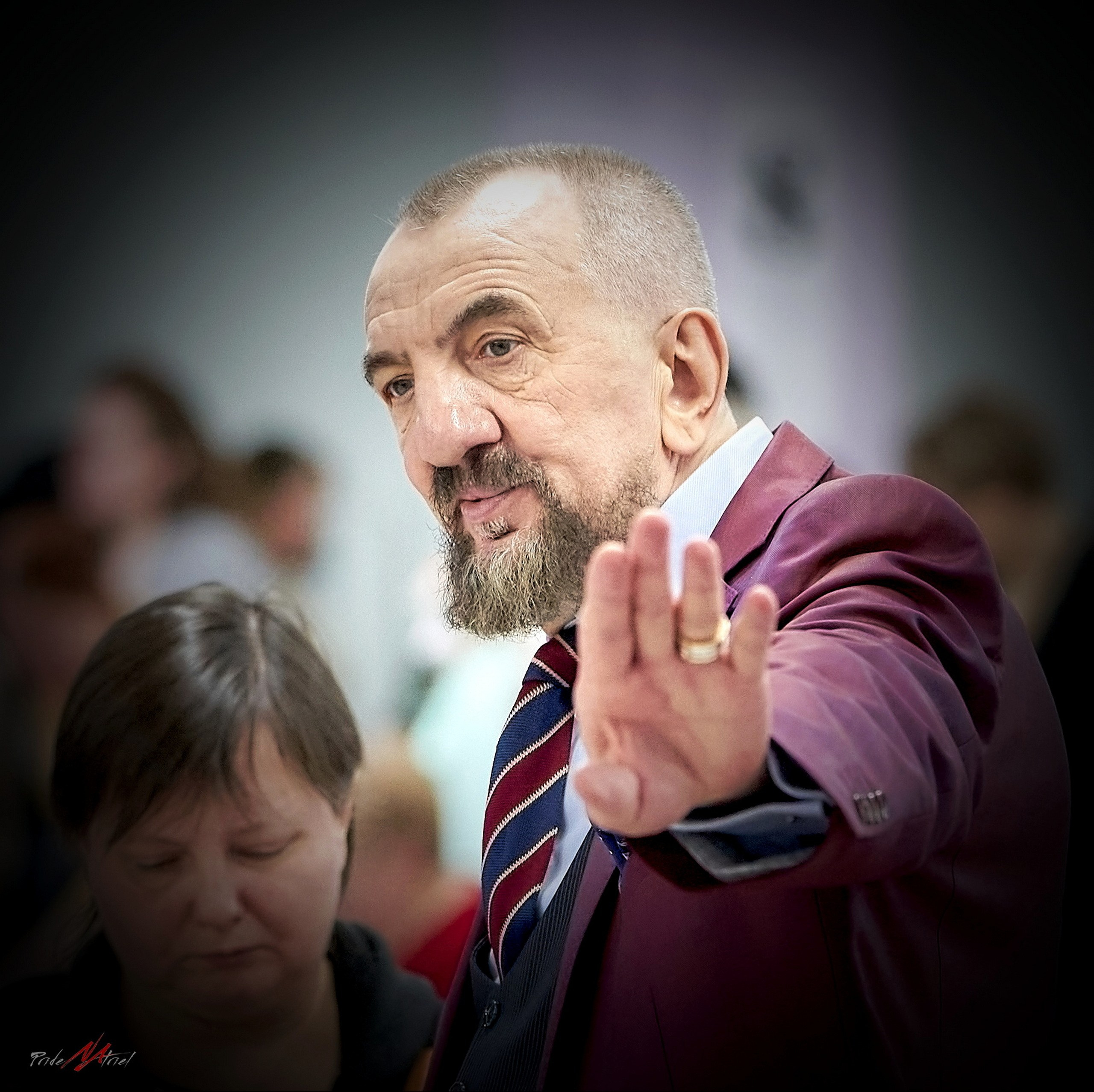 Работа в рингах — галерея NATRIEL