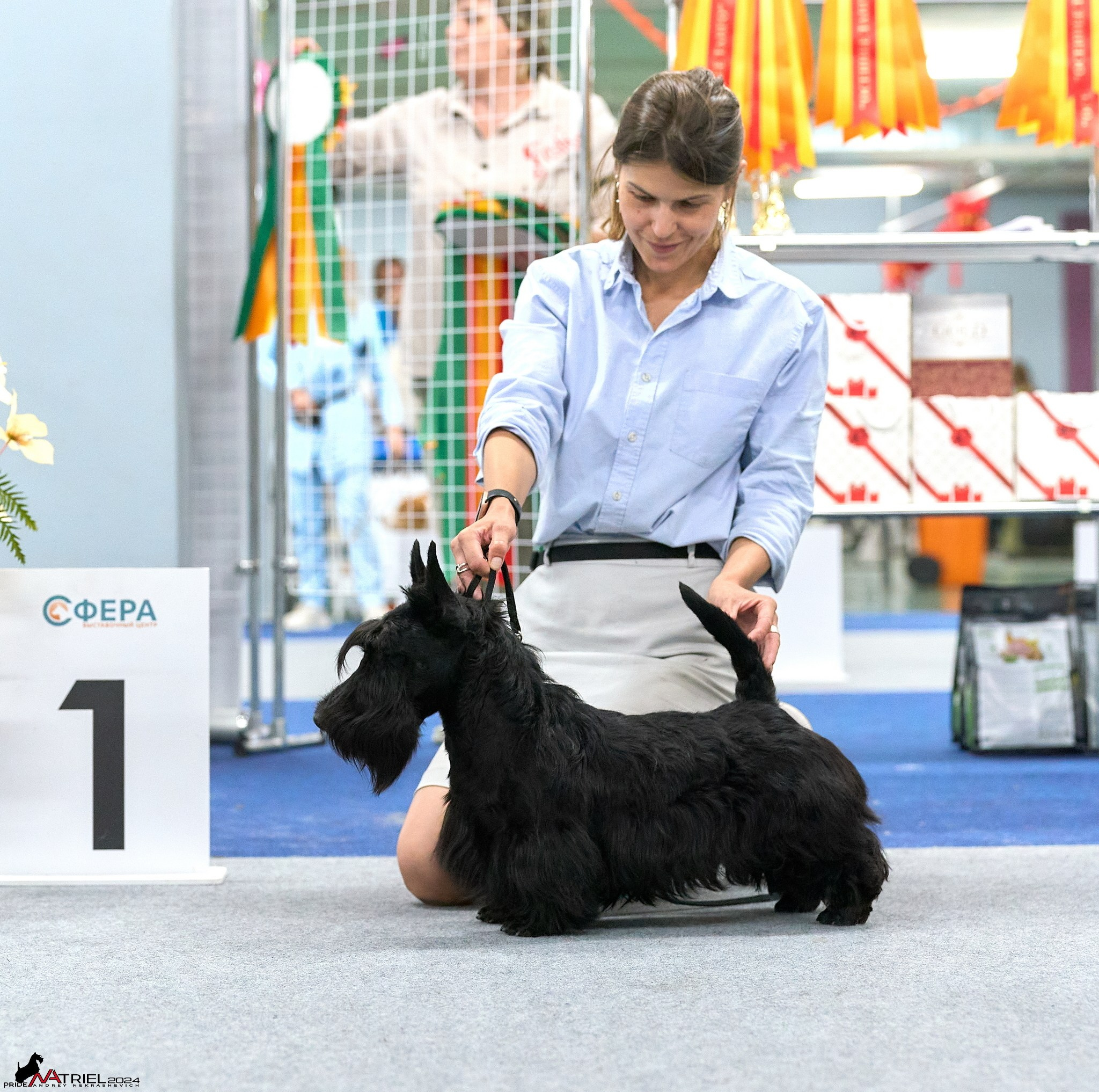 Съемка на выставке в Сфере