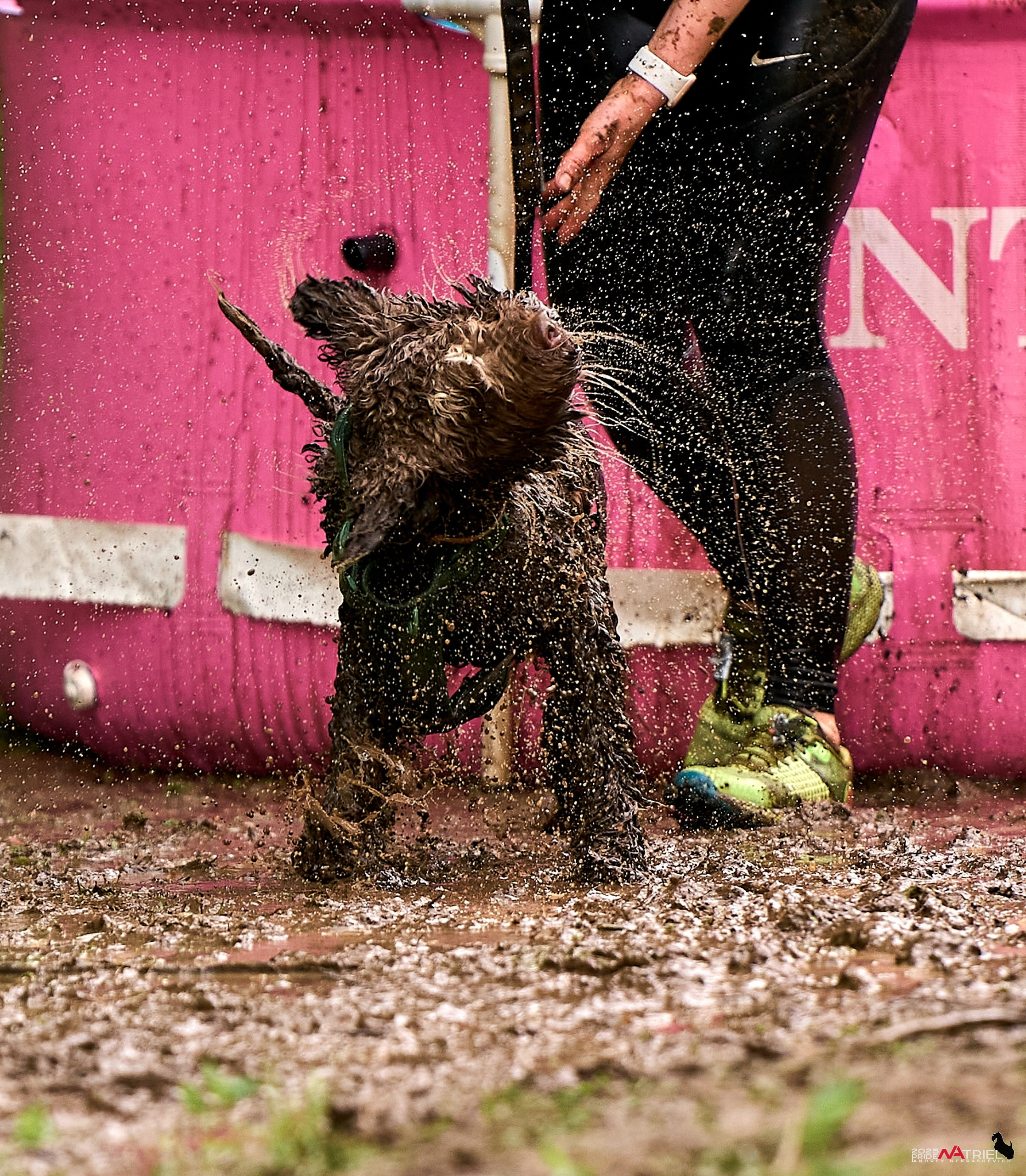 Russian Extreme Dog Trail — 2025