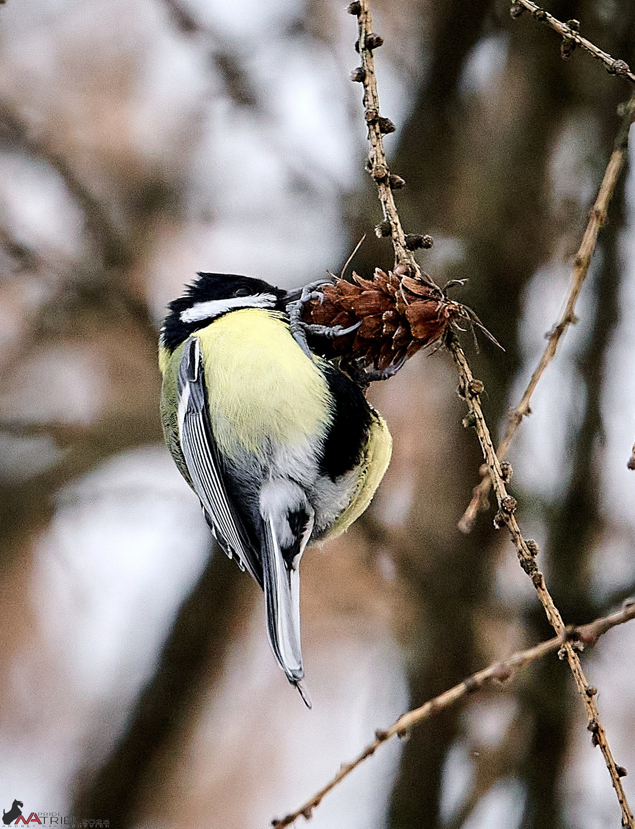 Фотопрогулка "вокруг дома"