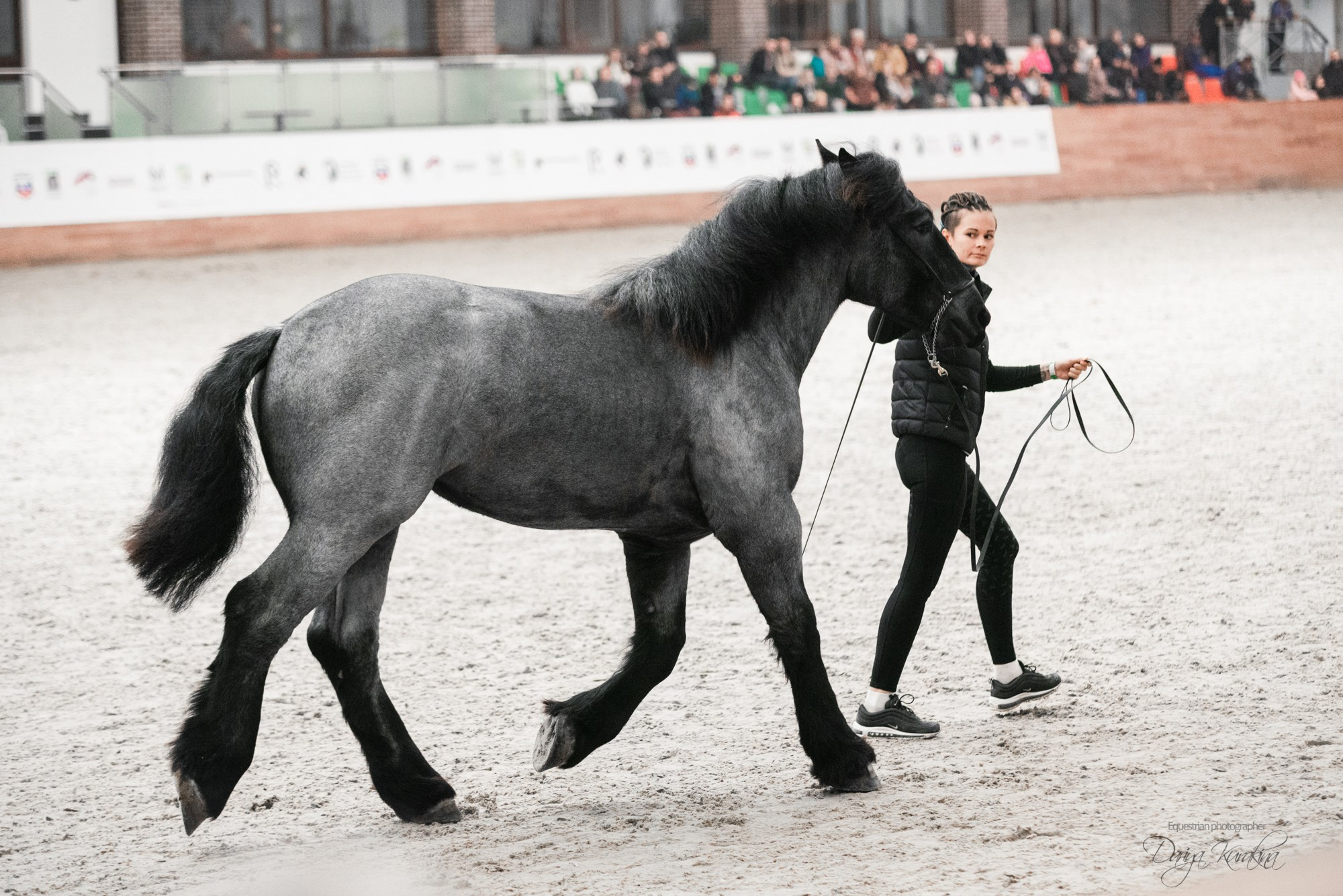 8-я международная выставка Конная Россия. Конный фотограф Куракина Дарья • Фотосессии с лошадьми