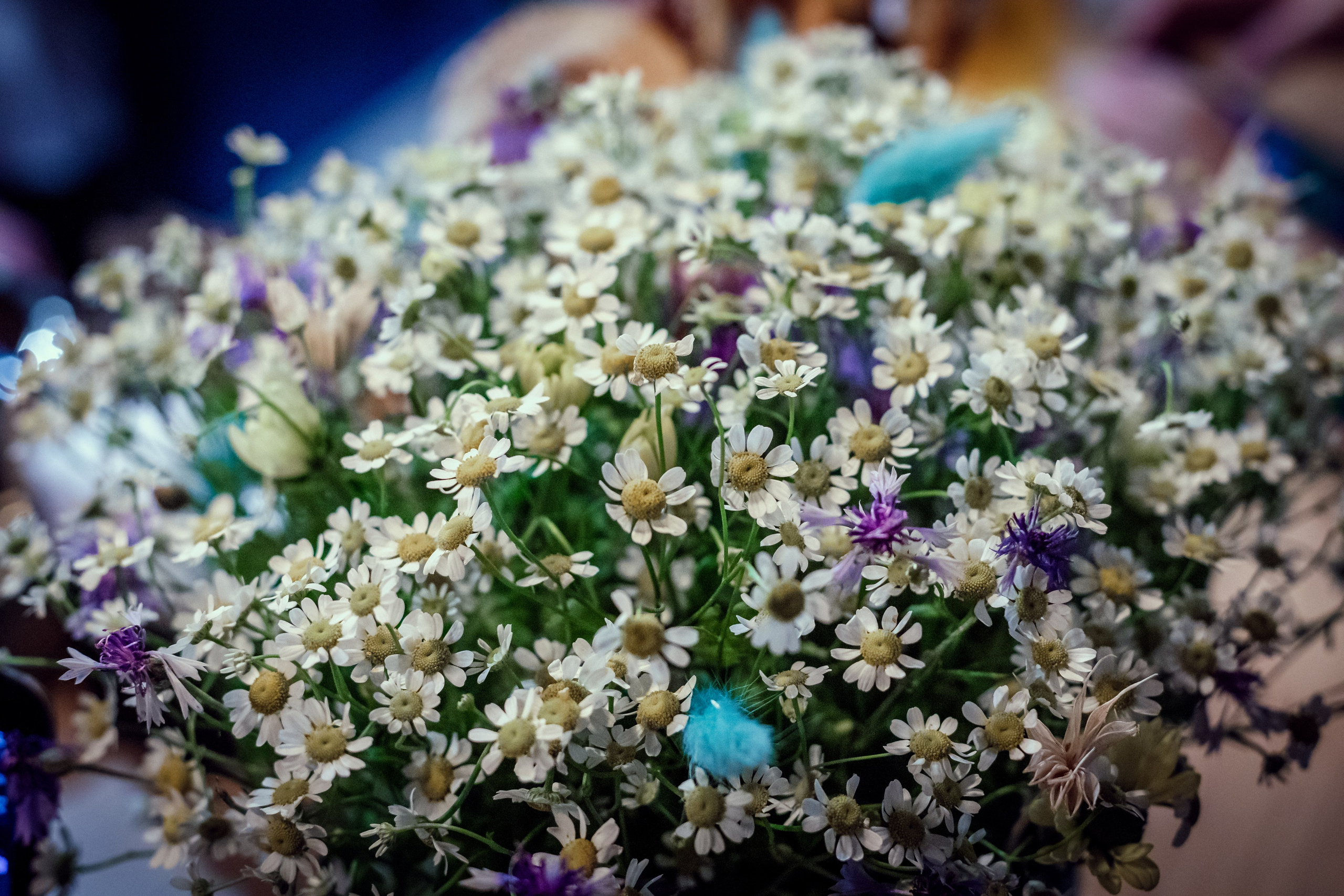 Вюрст. Главная