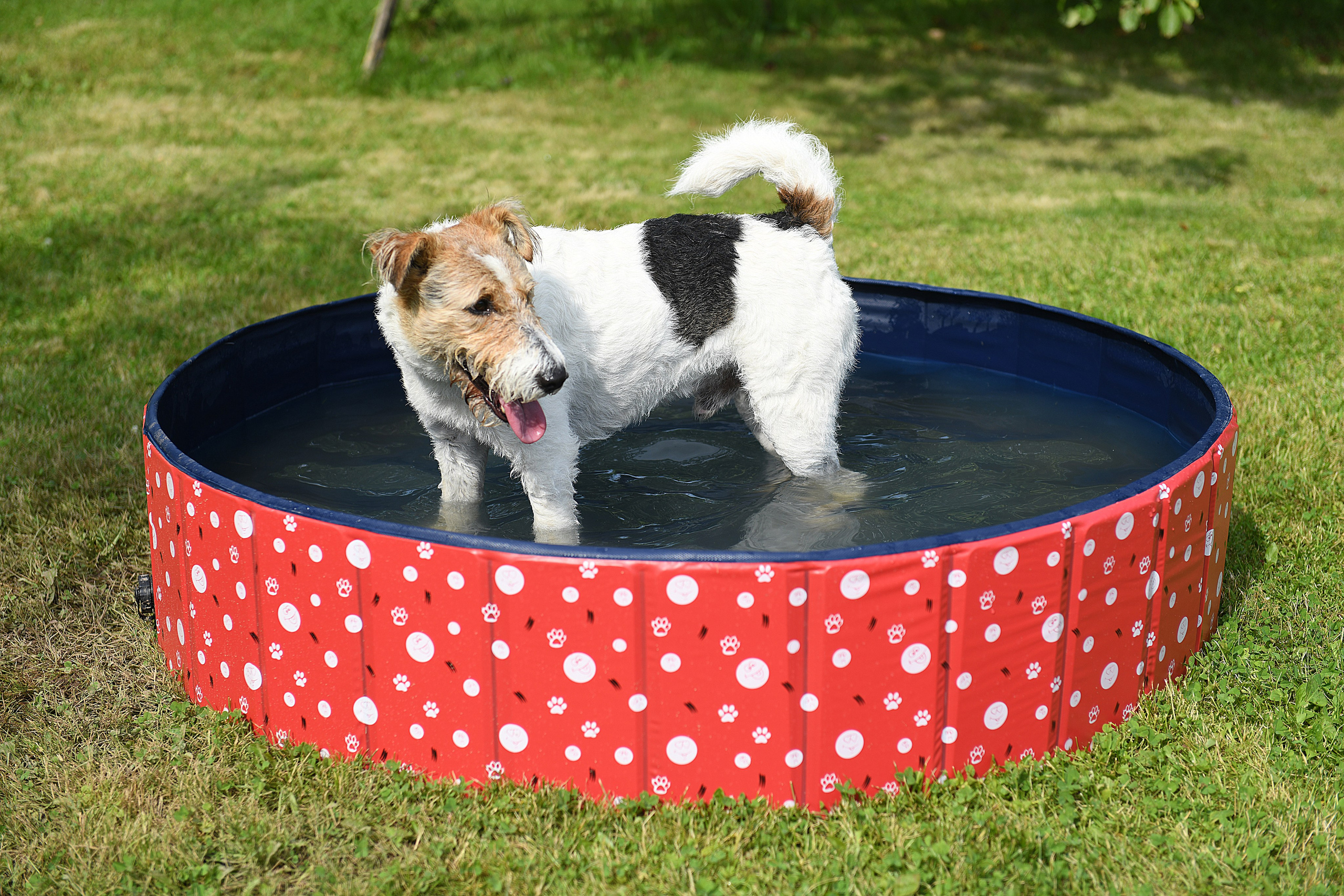 Юбилей. Садовод. Свадебный и портретный фотограф в Москве Галина Борисова