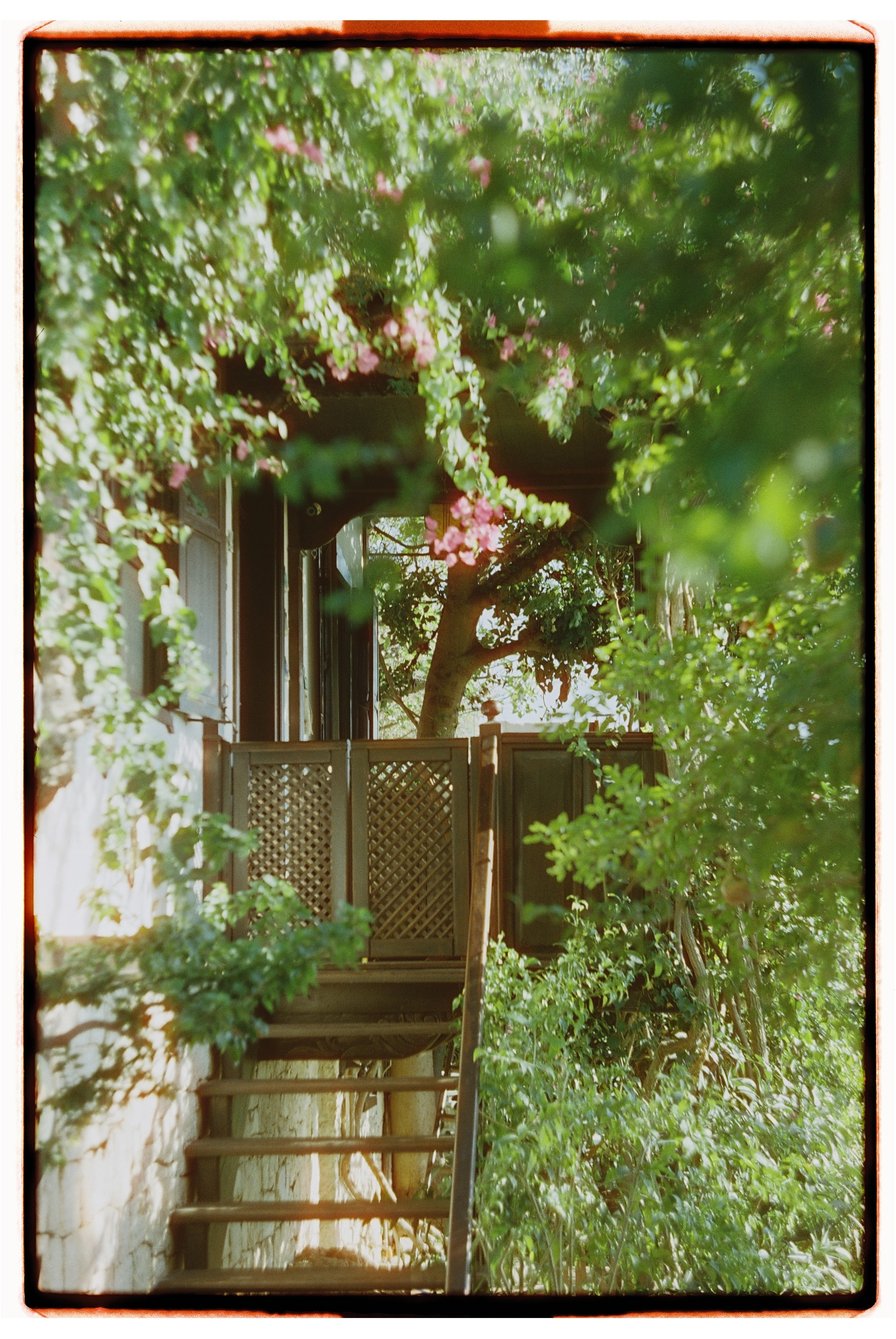 Турция. Фотограф на Бали|Свадьба на Бали