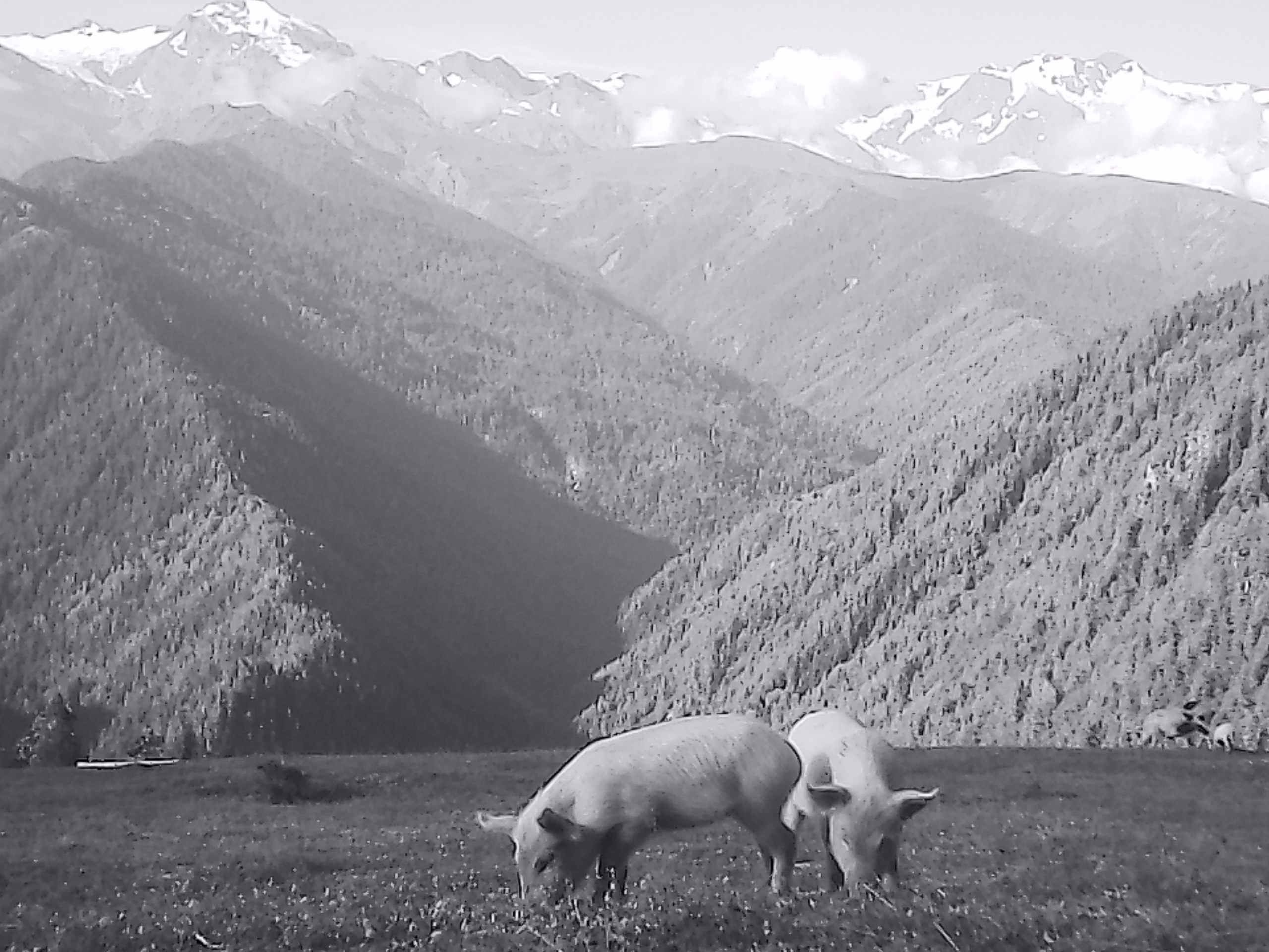 «Крошка 🐣». Anita_photo