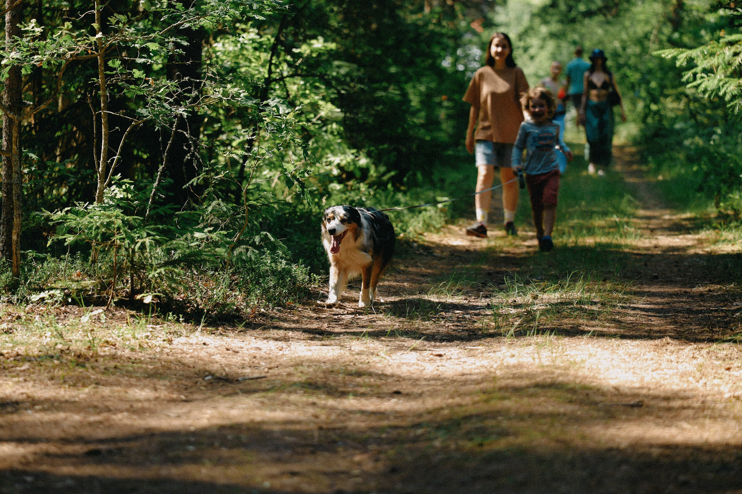 /РЕПОРТАЖ/ Велогонка ЦАРЬ-ГРЕЙДЕР 2. 2024. Свадебный фотограф Великий Новгород Станислав Кособудский