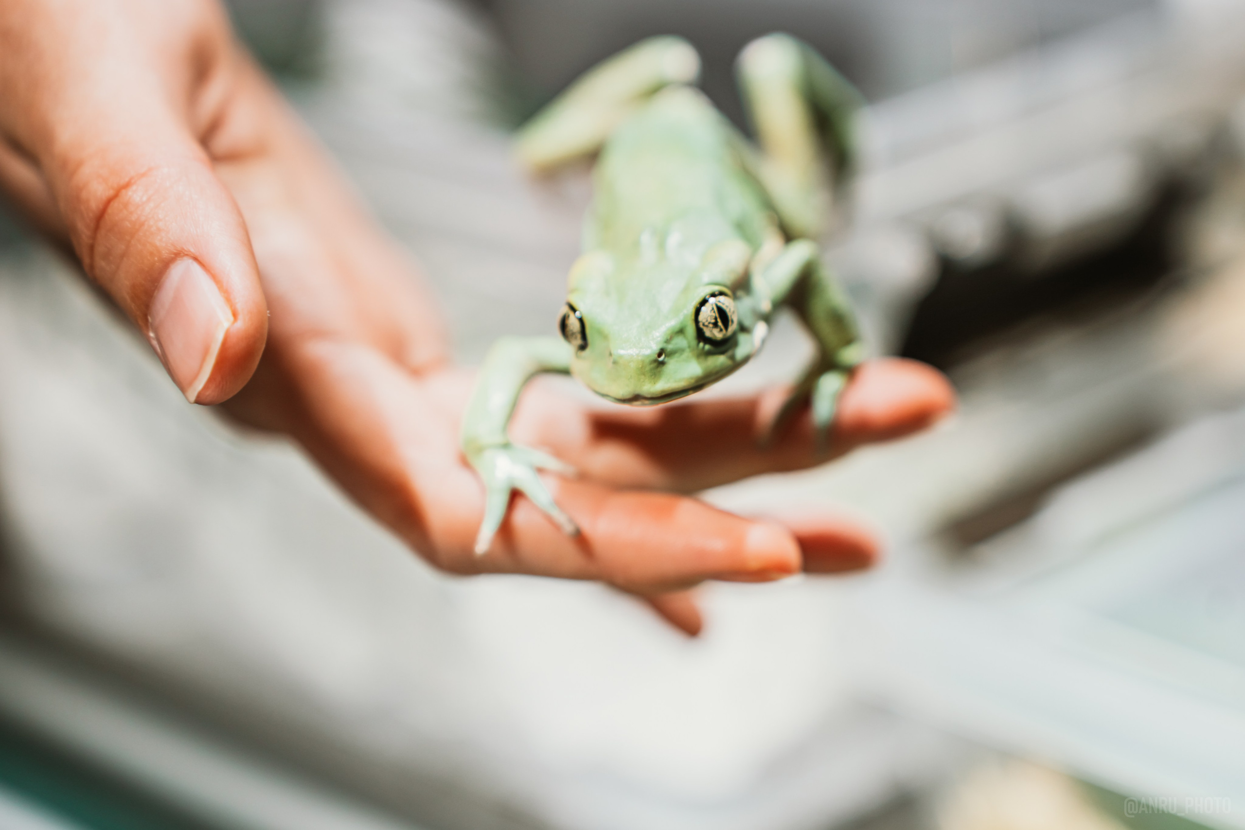 Рептилиум. Репортажный фотограф Анастасия Рубцова