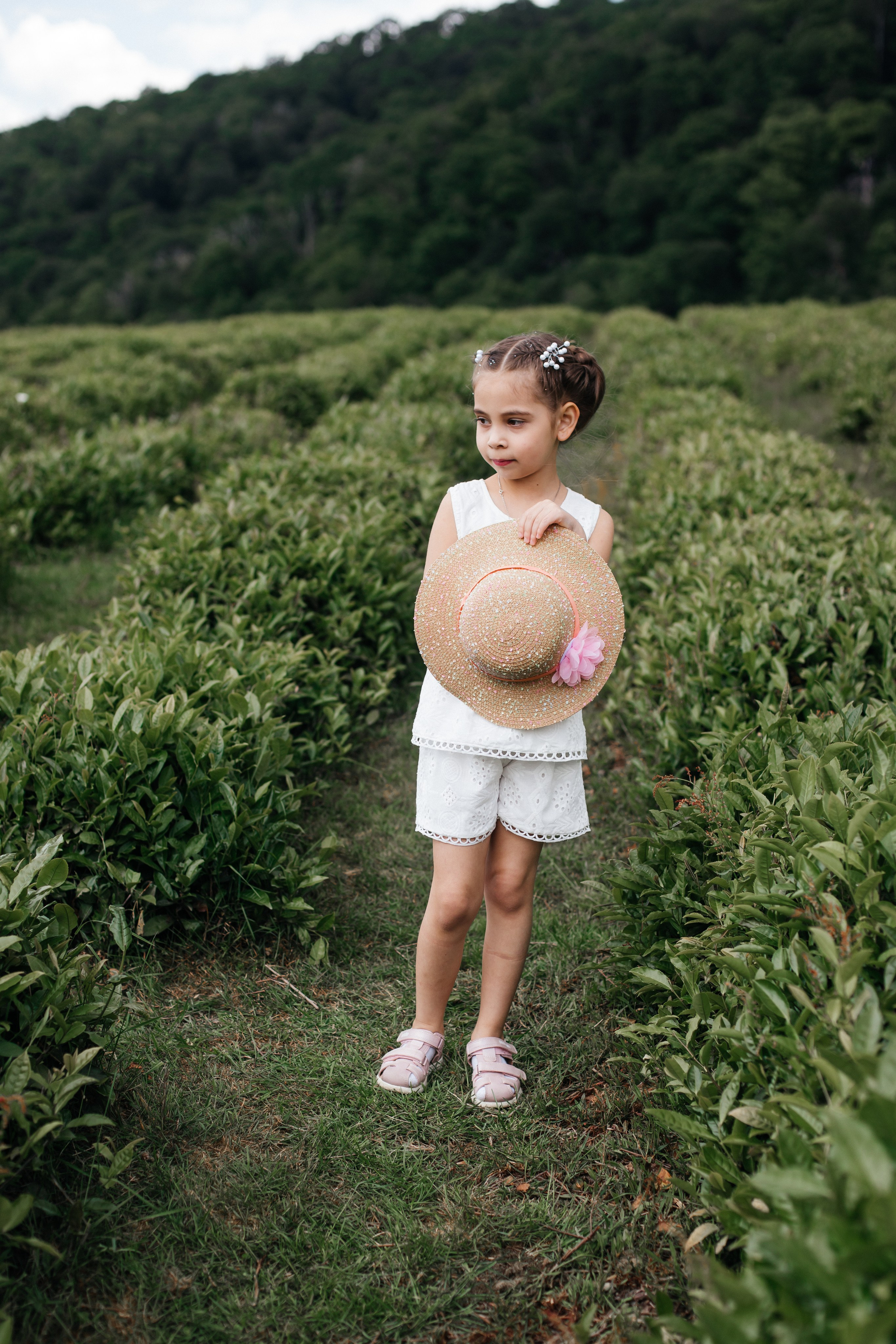 Tea plantation. Efimova Model Agency