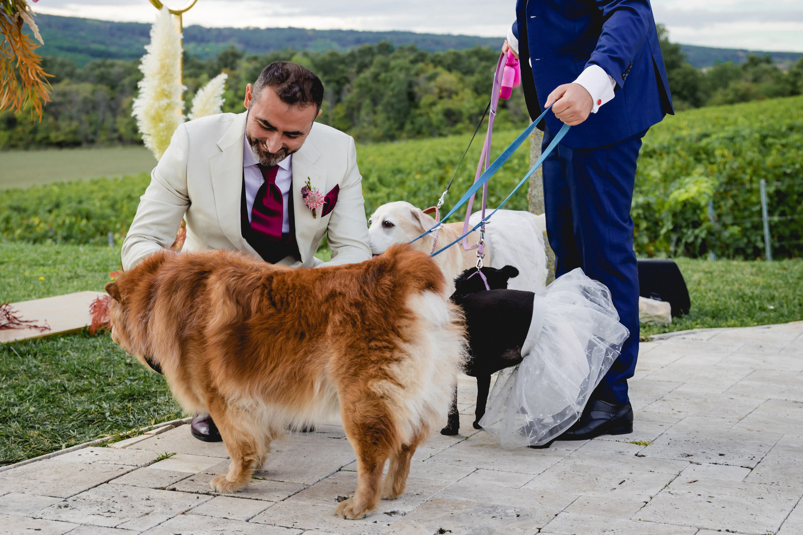 WITH_LOVE_FROM_BUDAPEST. Свадебный фотограф Мостовой Аркадий, Краснодар, Сочи