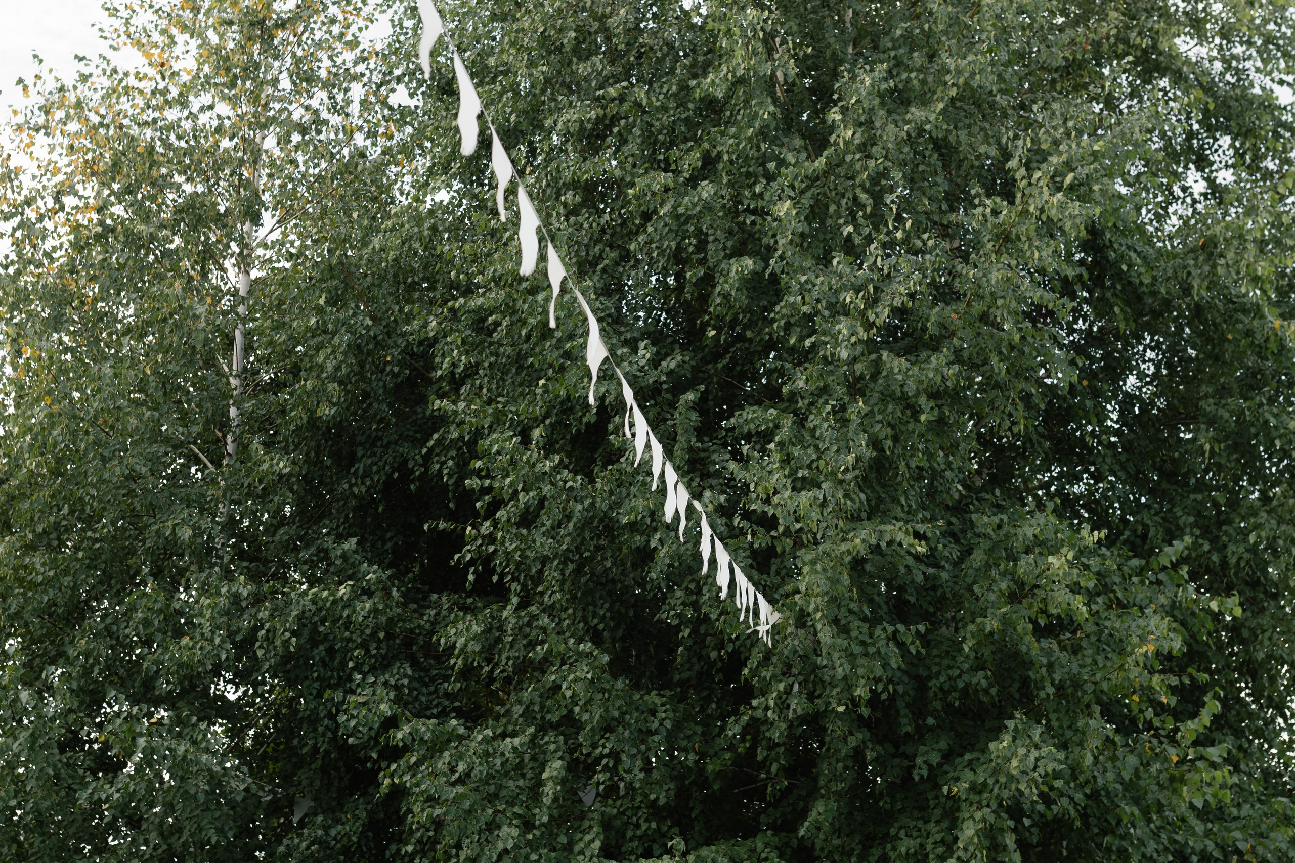 Rafael & Irina. Фотограф в Томске Ирина Павлуцкая