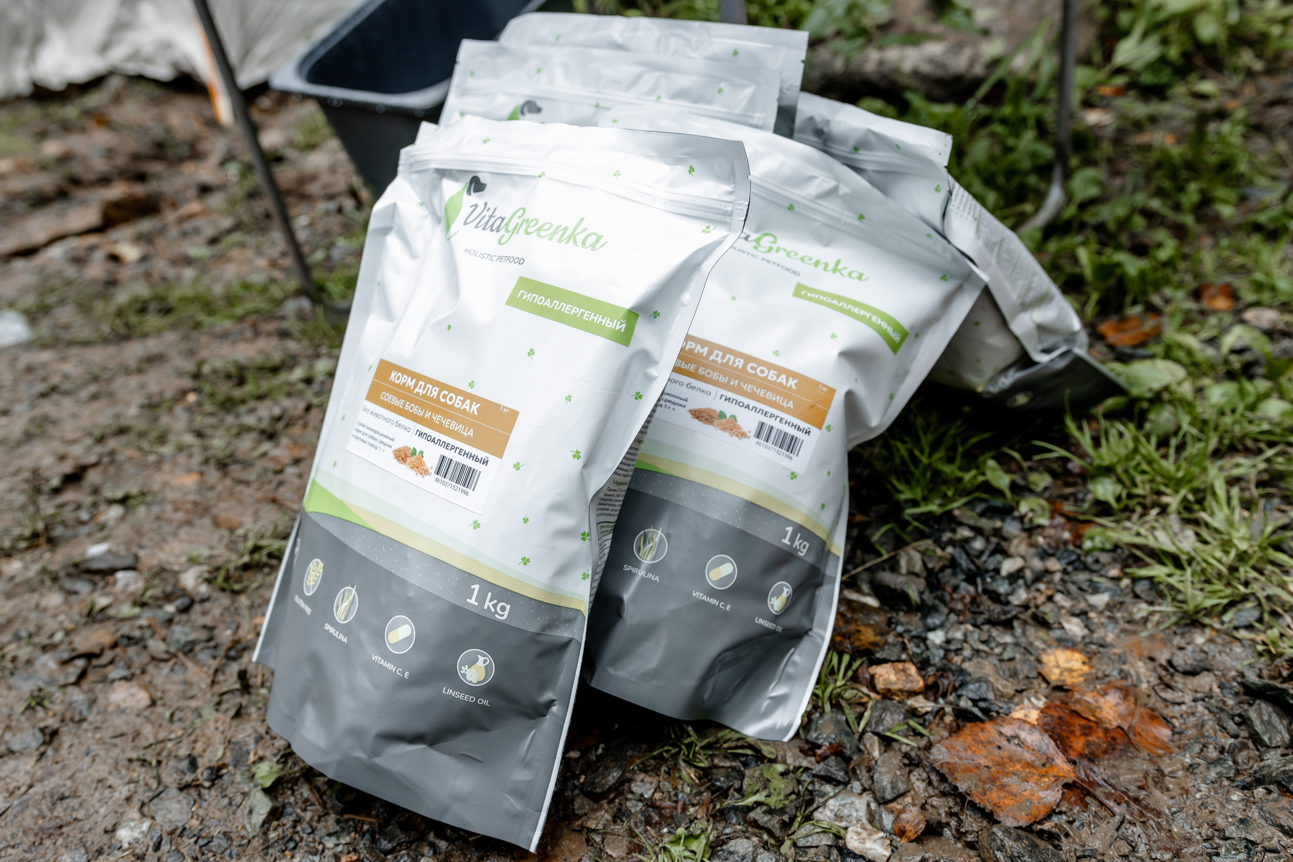 Дог-треккинг