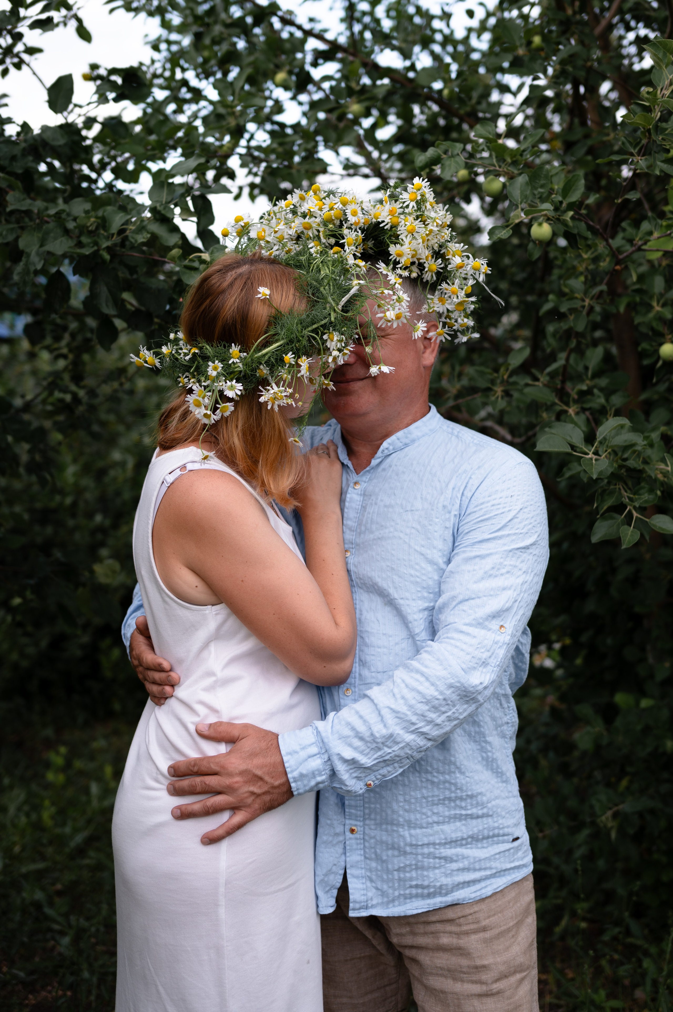 Ромашки и утята. Главная