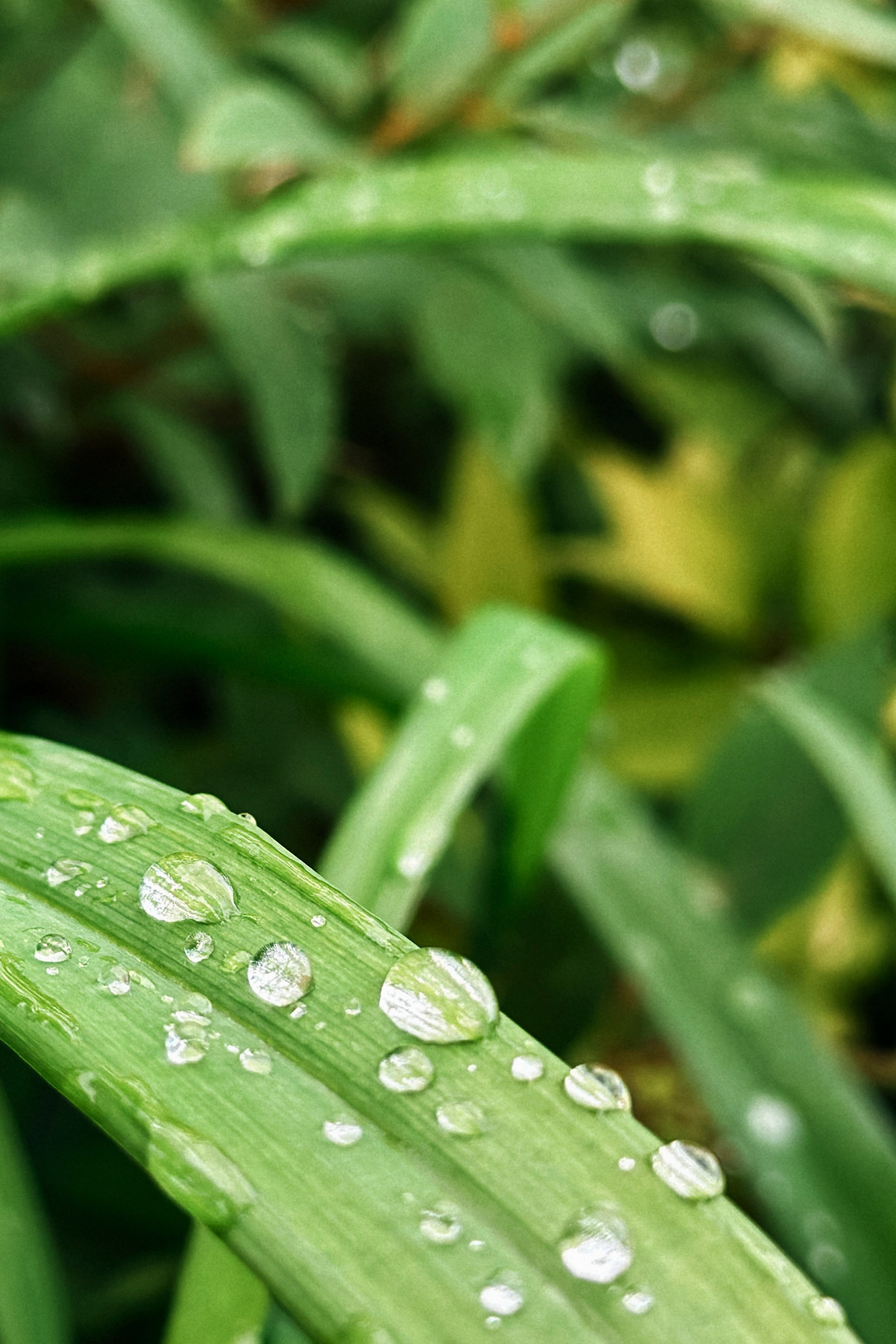 Природа. Команда фотографов Кристины Ивановой