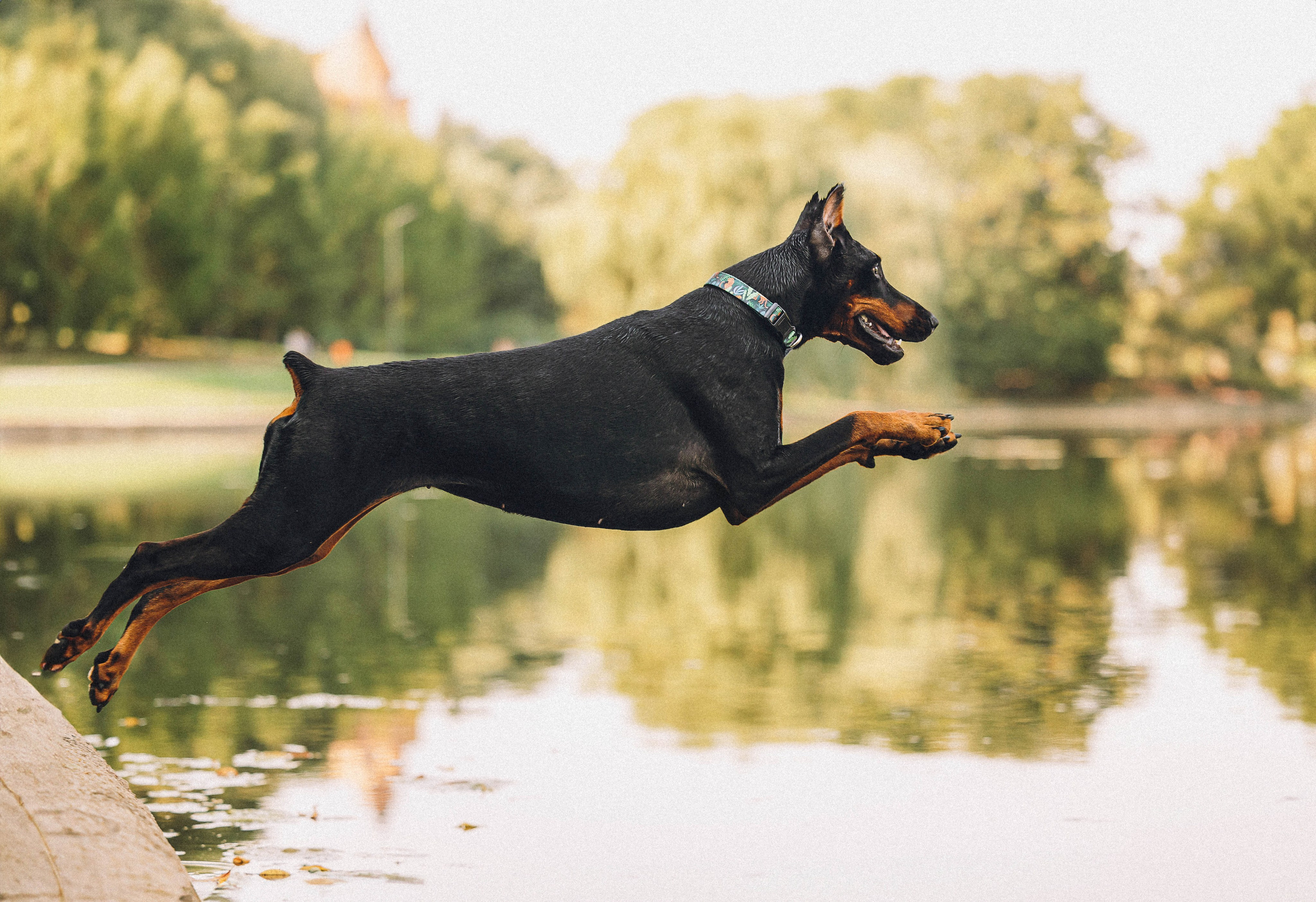 Паша и Хайди