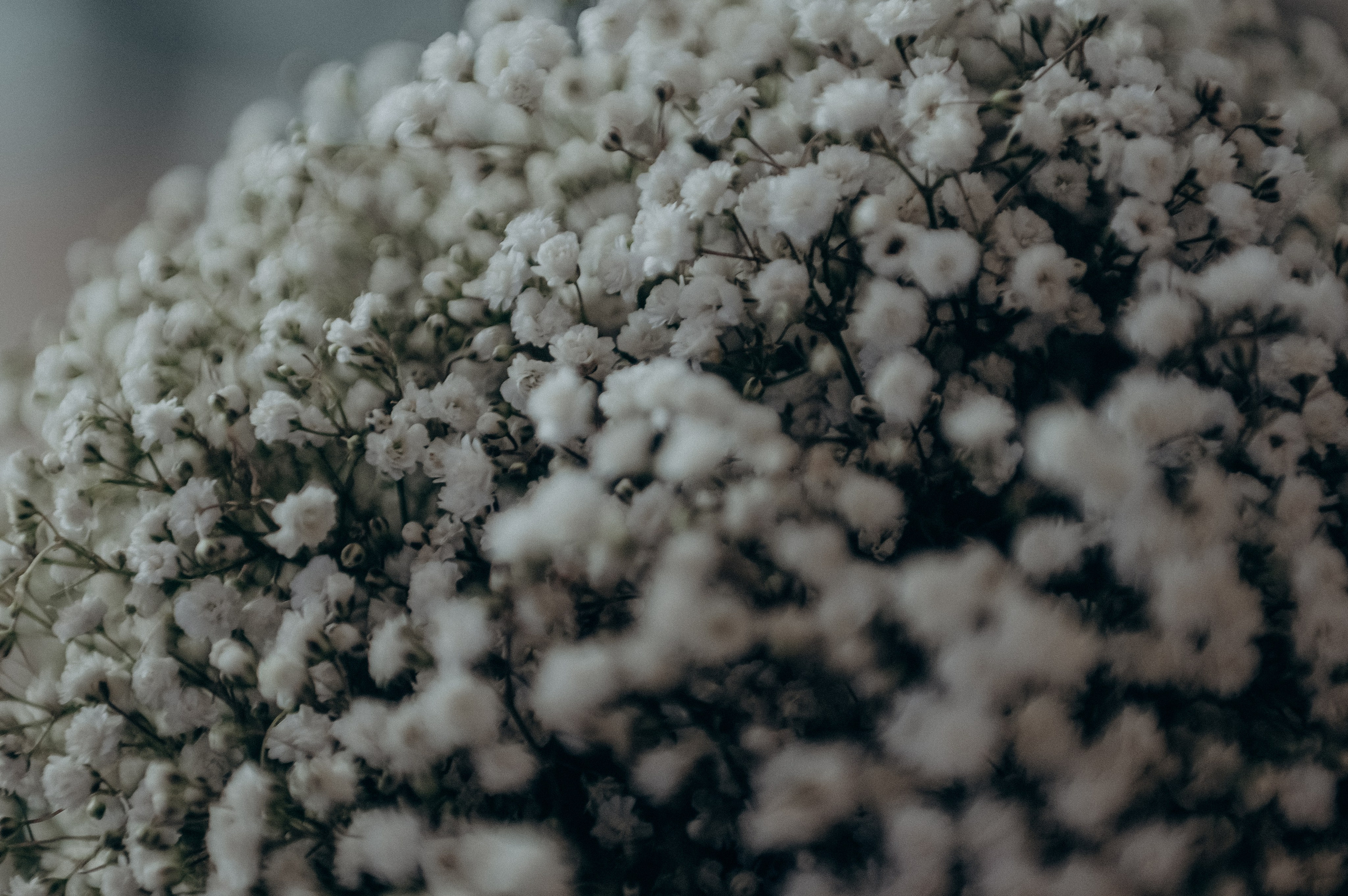 Осенняя нежность в Медвежьих озерах, Щелково. Свадебная фотоистория. Свадебный и семейный фотограф Виктория Носачёва. Щелково, Москва и МО