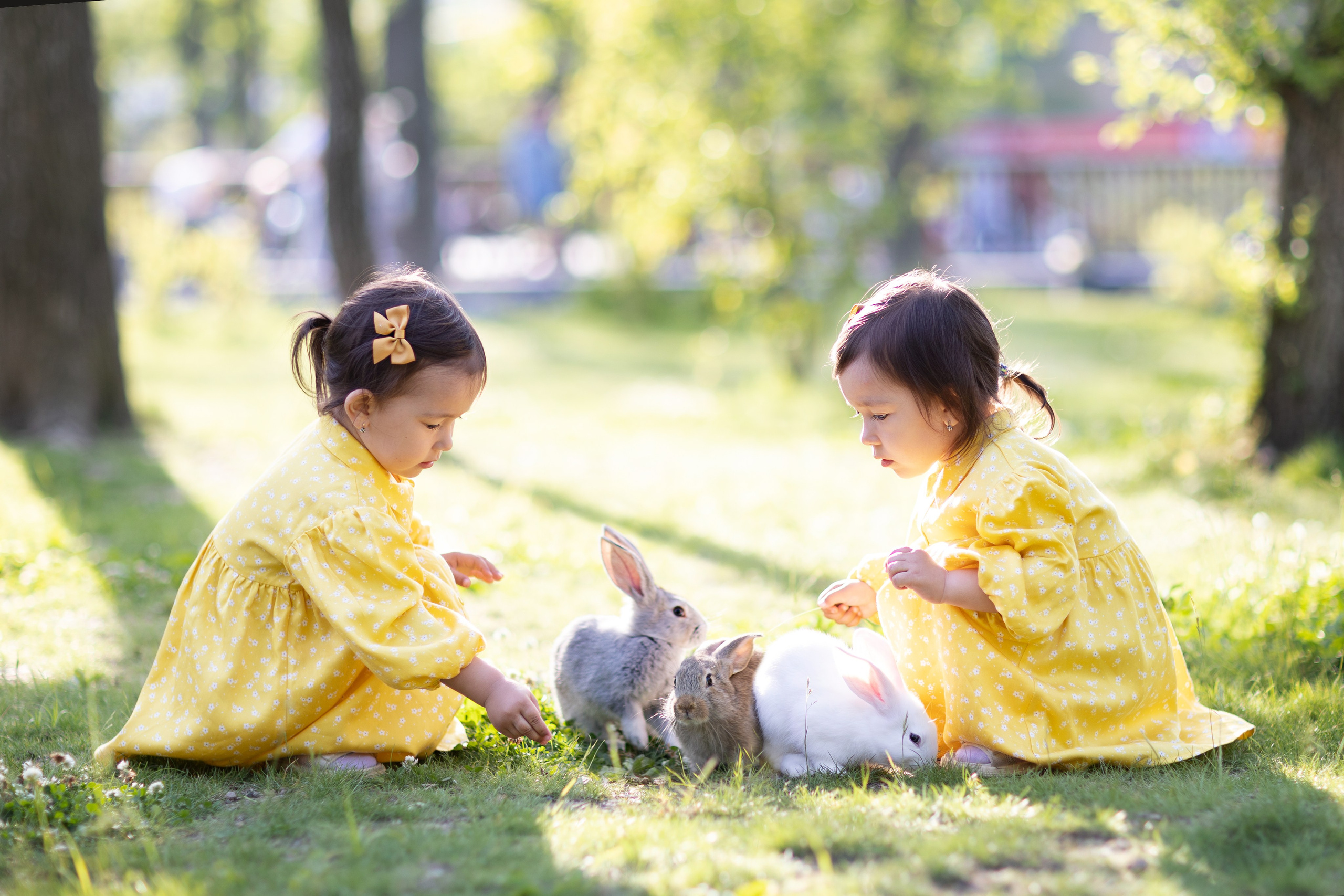 Животные. Семейный и детский фотограф во Владивостоке Ольга Потылицына