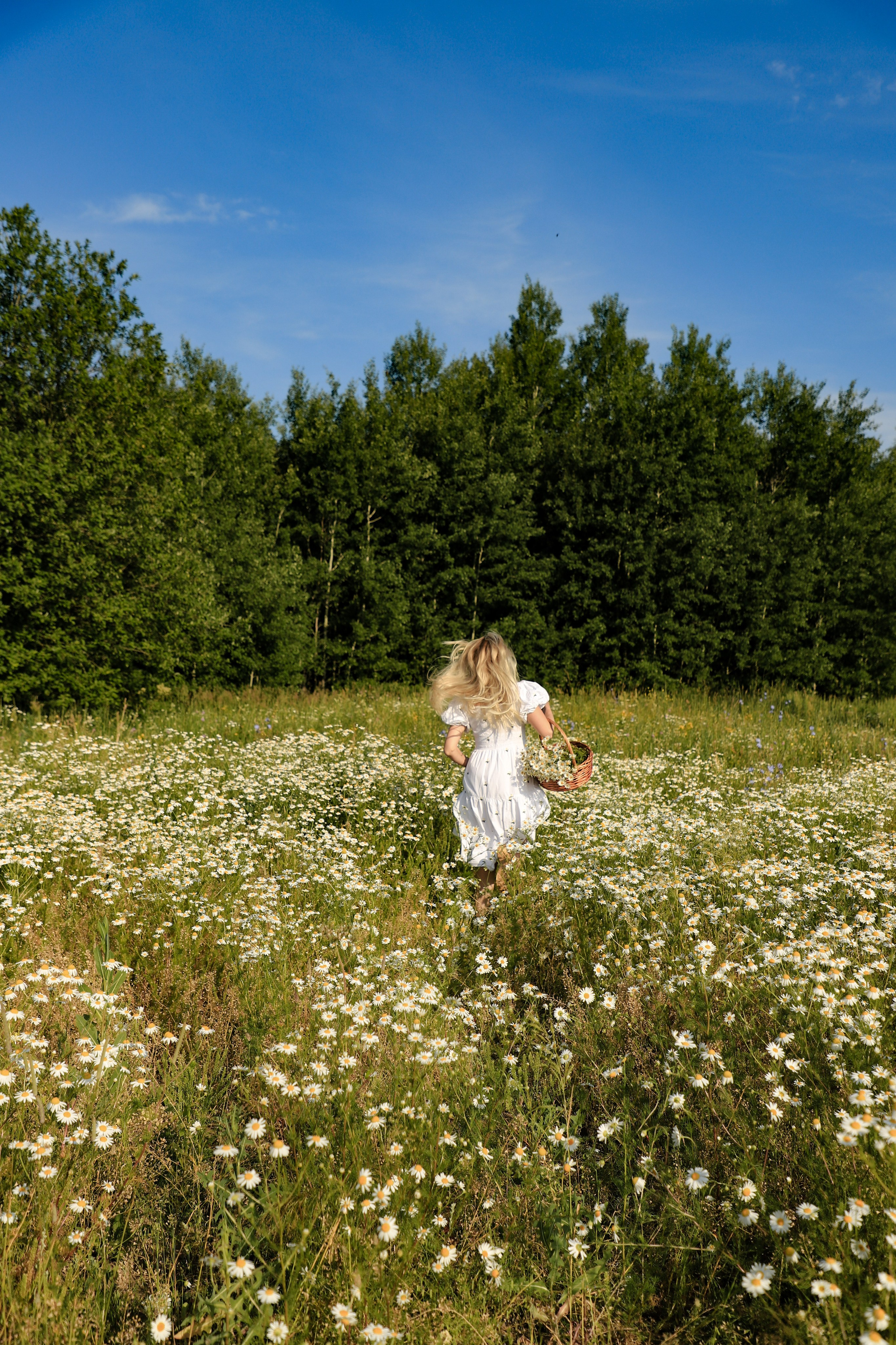 Ромашки Валентина 11.07. Главная