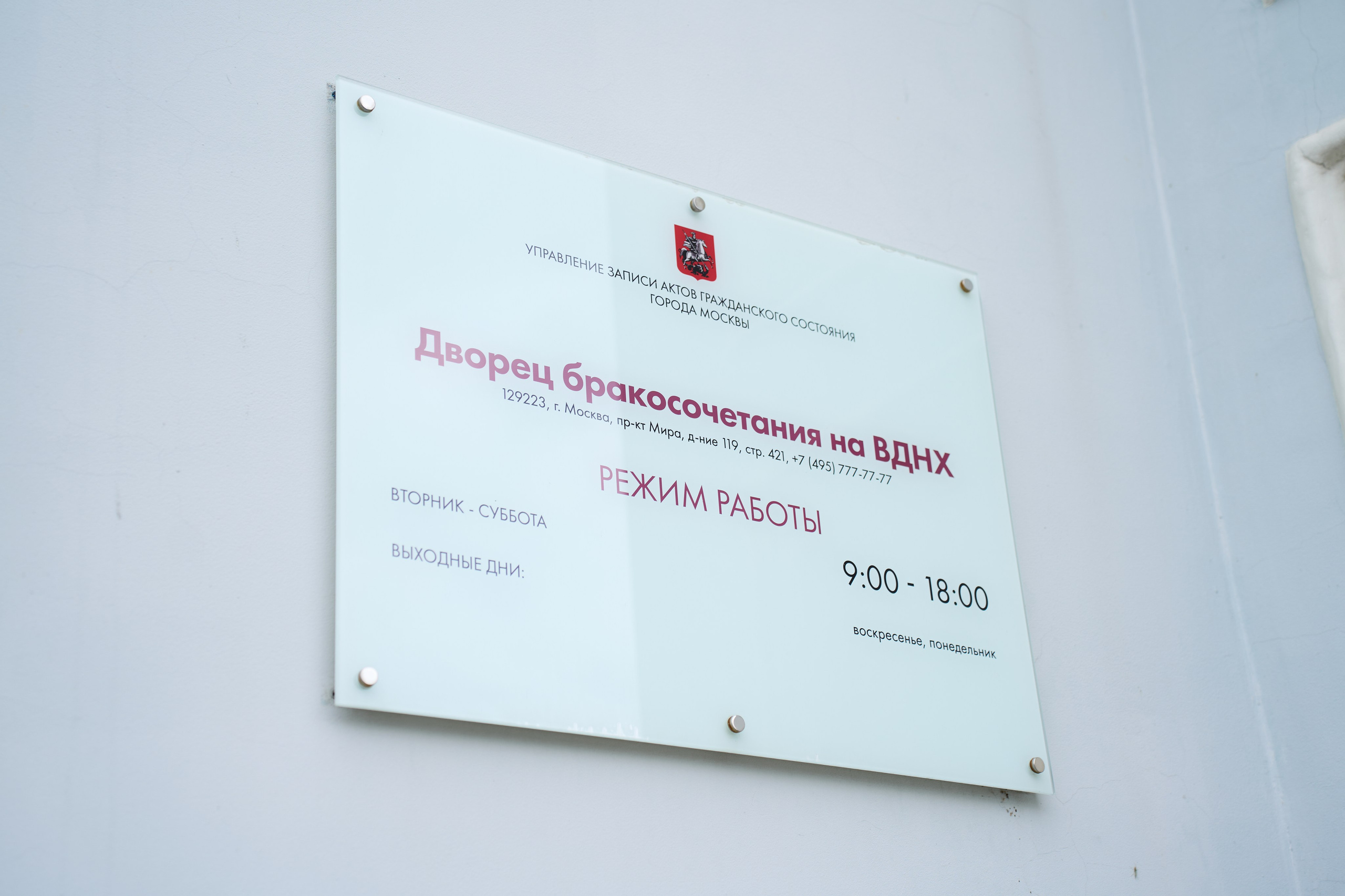 Яна & Андрей. Елизавета Мальгина, фотограф в Москве