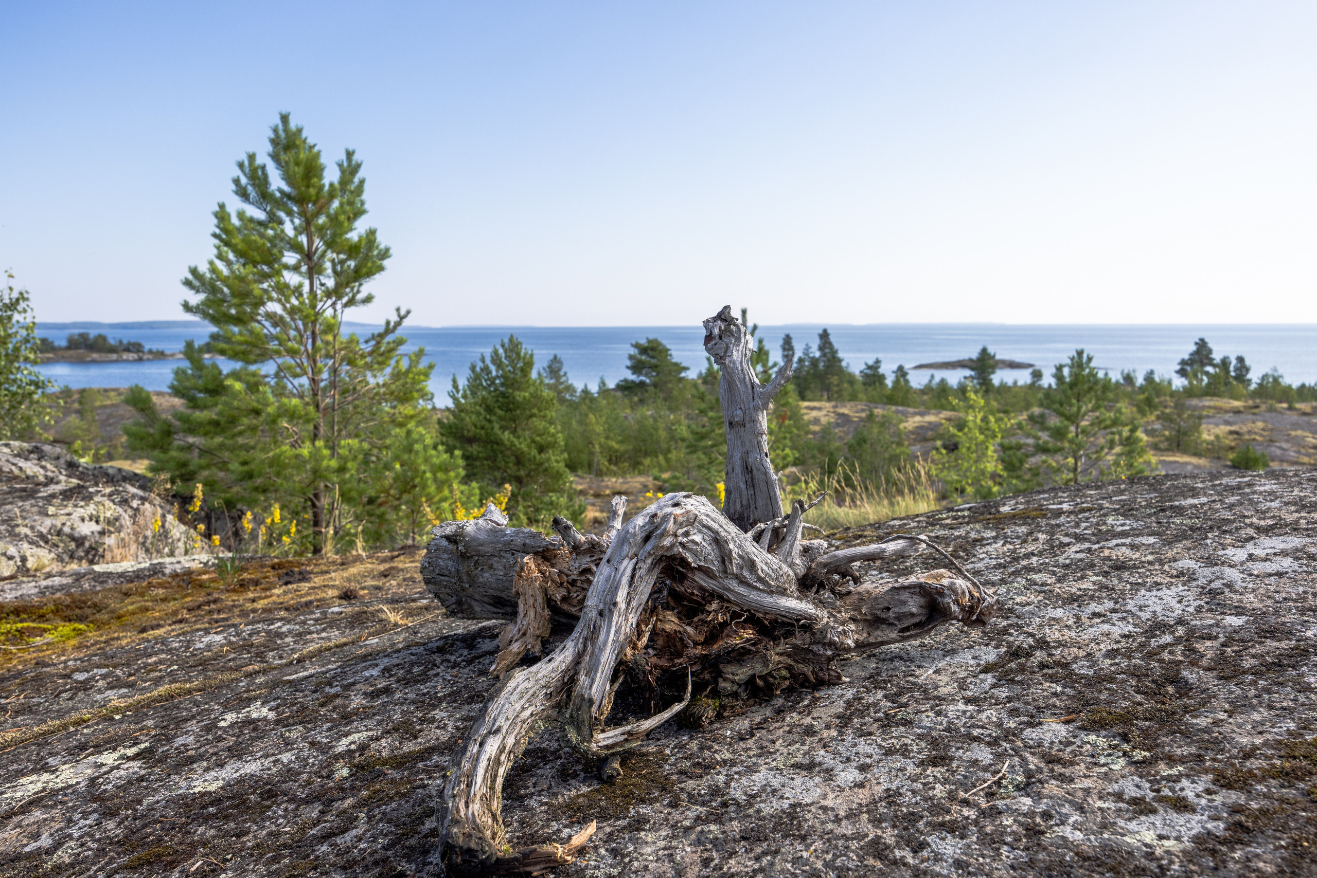Ладога. Автомобильная фотография в Санкт-Петербурге