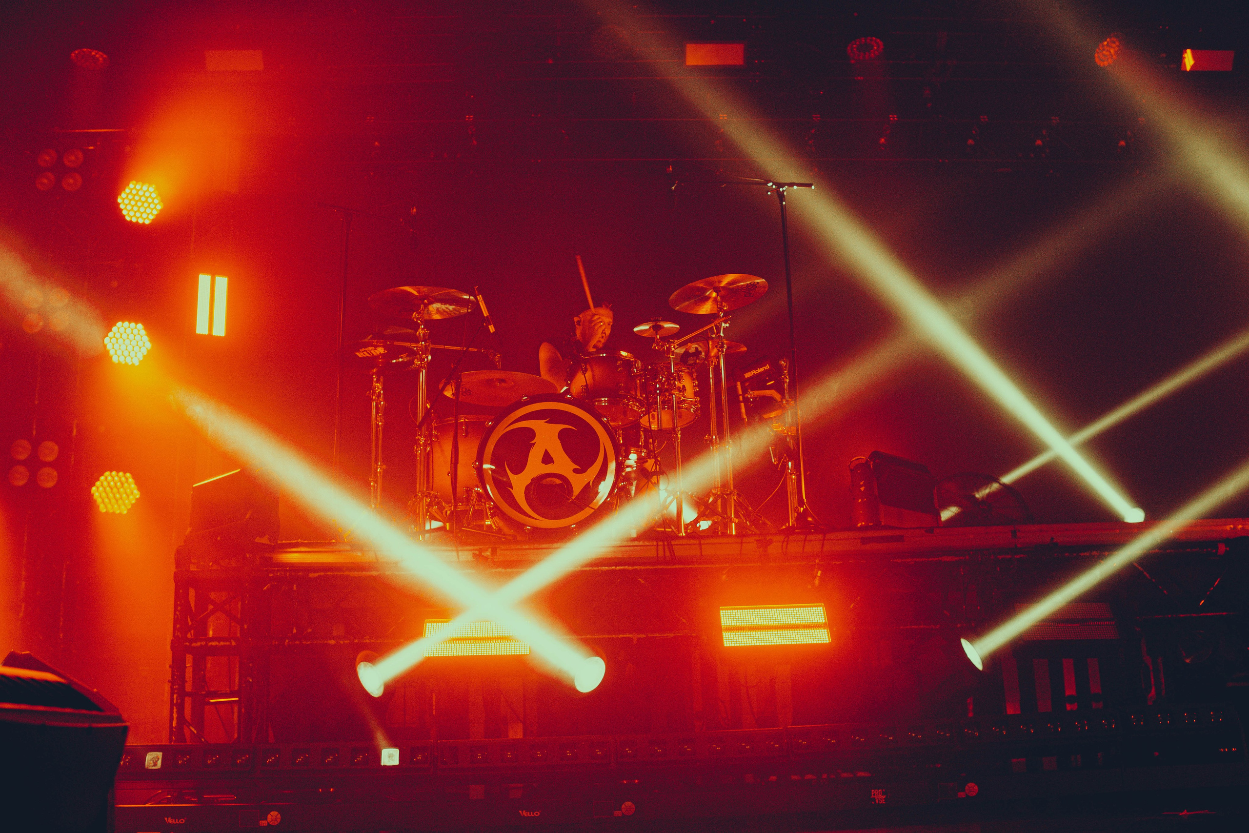 Amatory 22.11.2025. Фотограф Дядя Сник