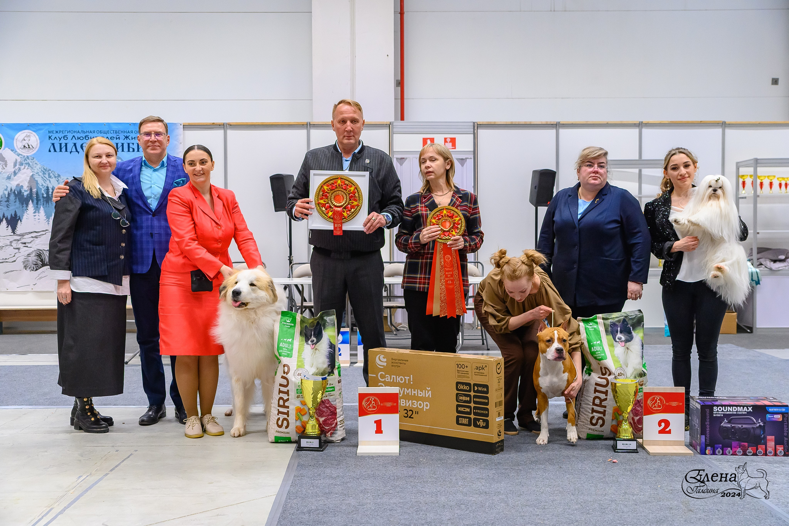 Отзывы. Фотограф анималист Елена Галдина г. Красноярск