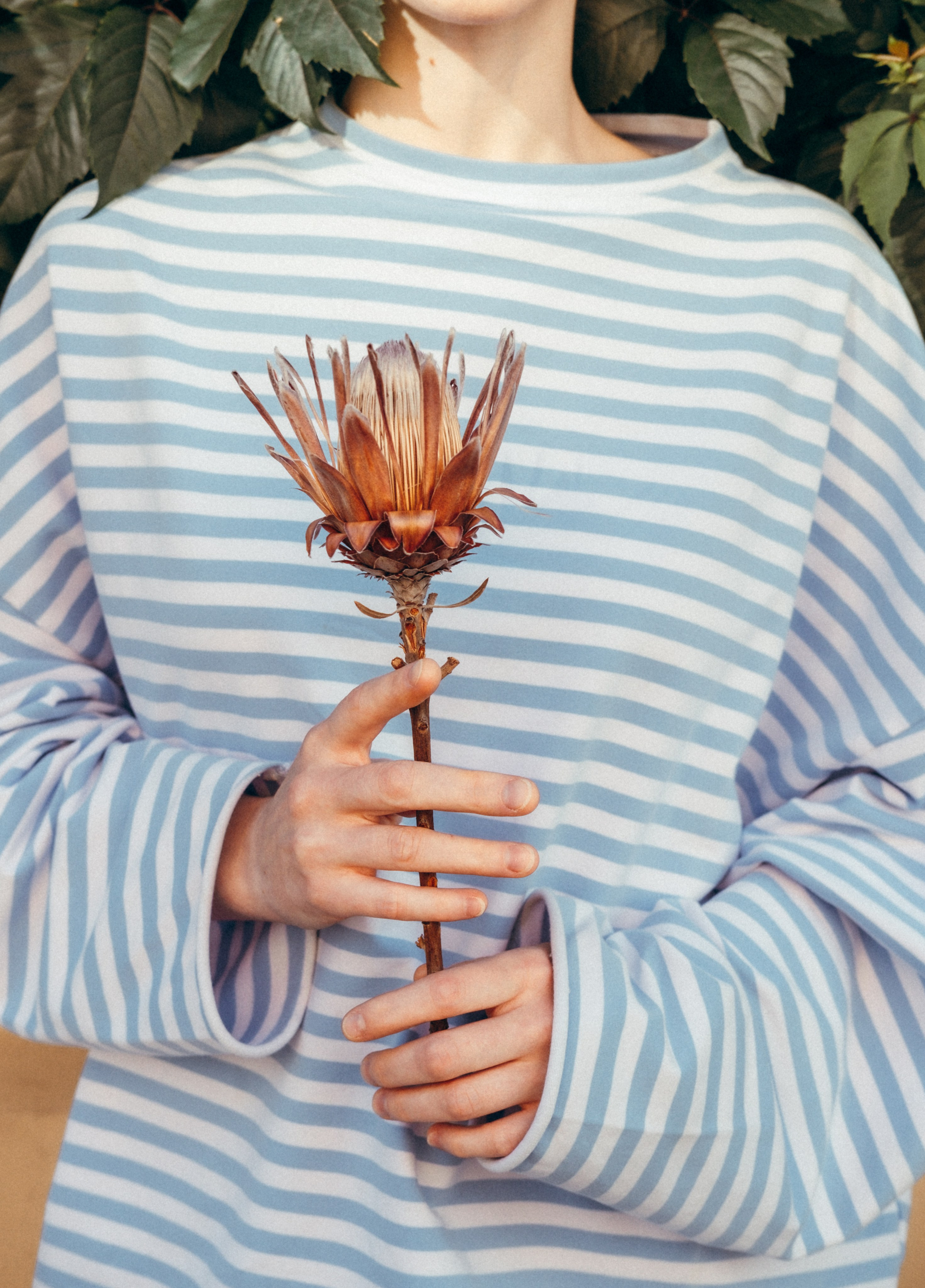 Варвара | Рид