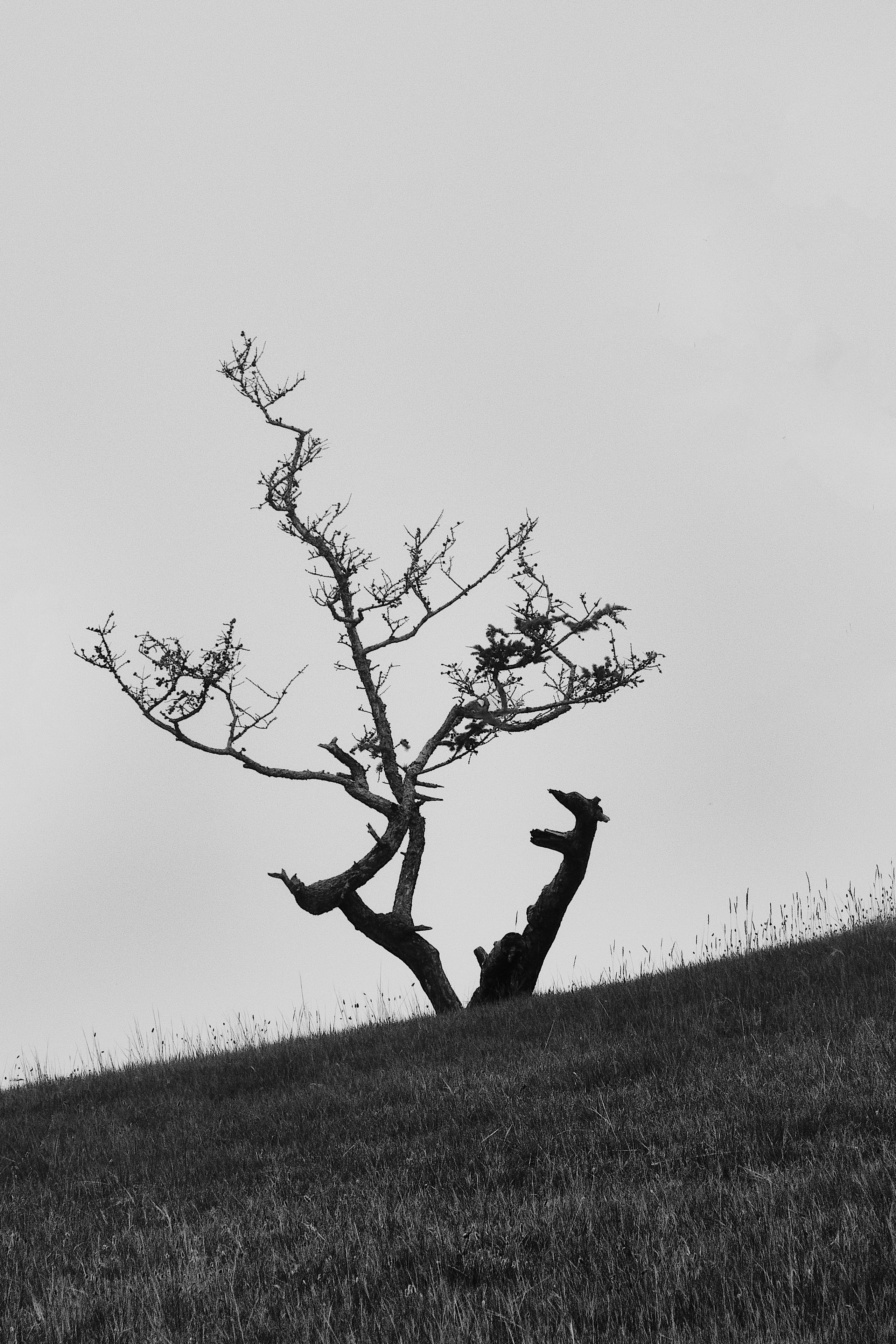 Москва — Владивосток. Охота за образами Мира. Shaltay Gallery