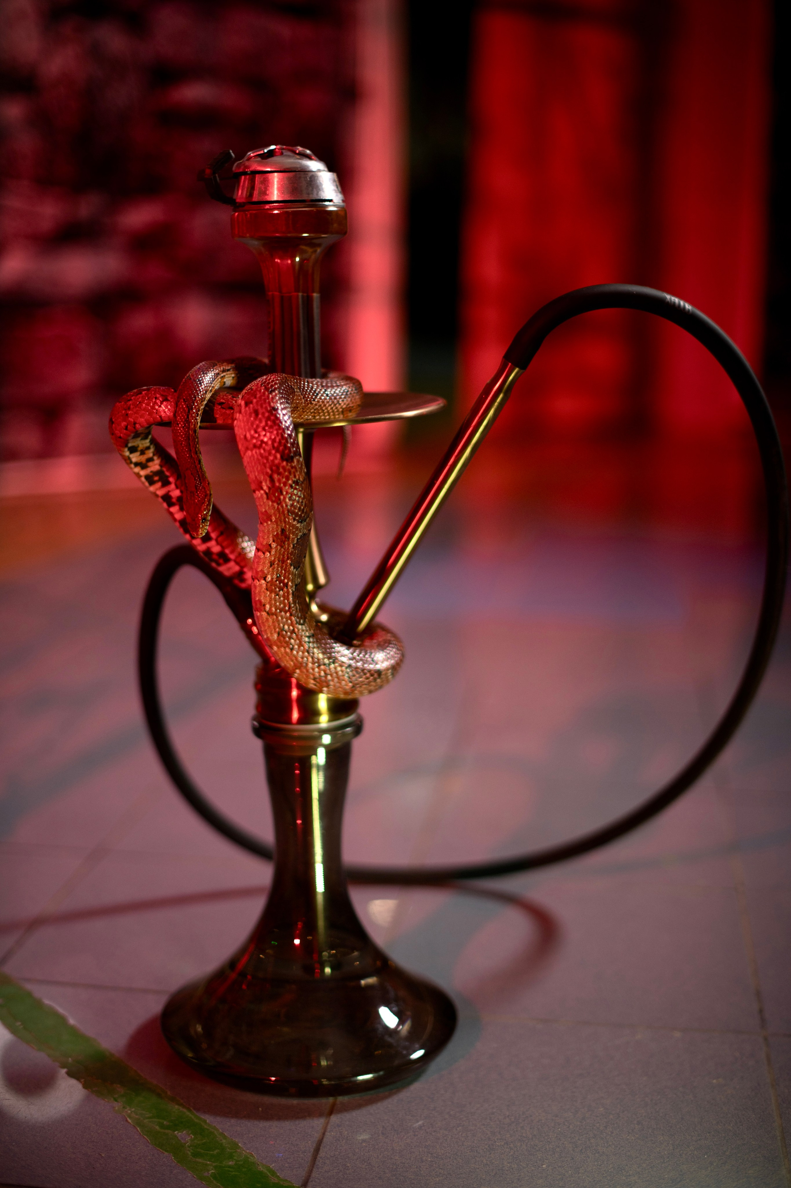 Фотосессия Анастасия. Фотограф Андрей Чеботок (Белгород, Курск, Воронеж, Старый Оскол)