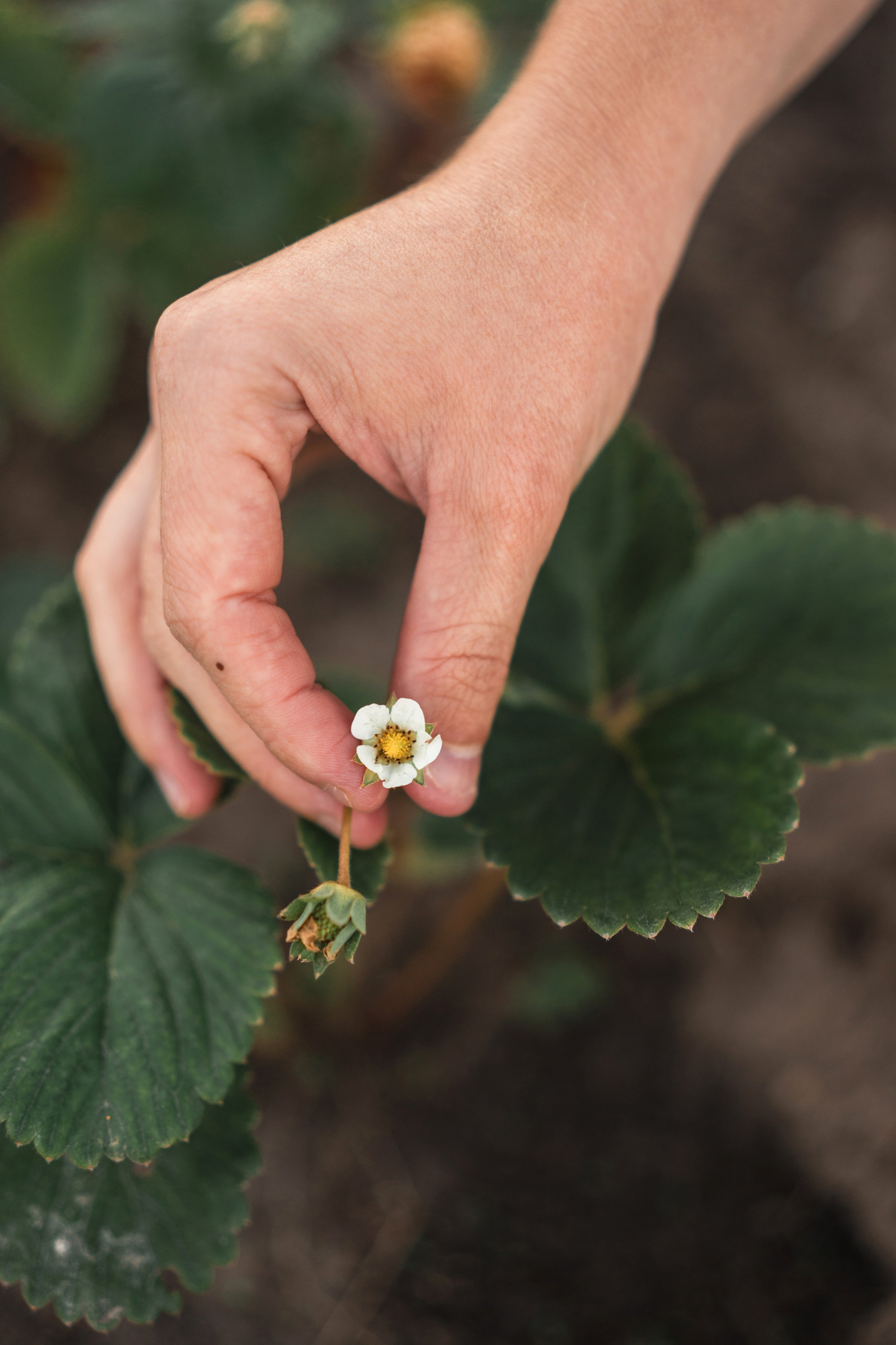 СЪЕМКА НА УЧАСТКЕ. Семья Юлии. Фотограф Марта Козел. Гродно, Беларусь