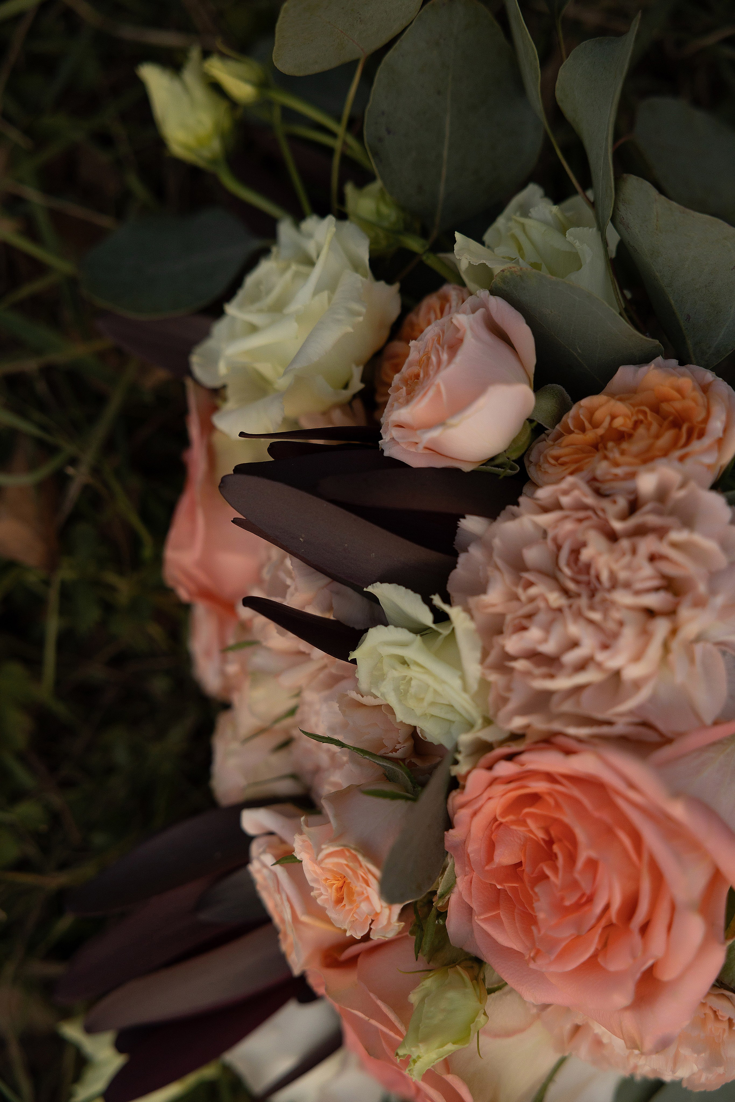 Ясная Поляна. Свадебный и семейный фотограф  во Владивостоке Ольга Украинец