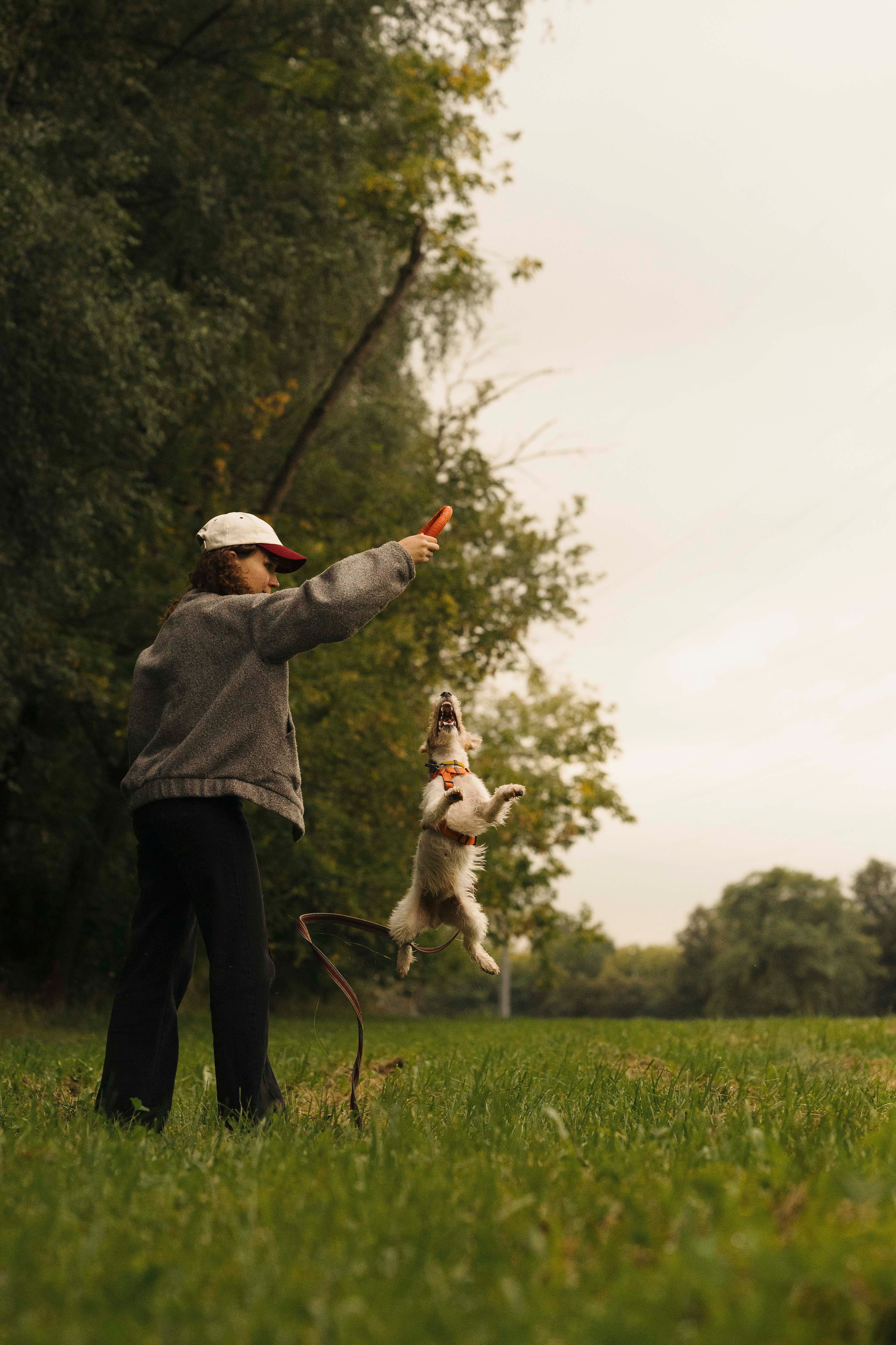 Мартин. Фотограф- анималист Александра Матвеева