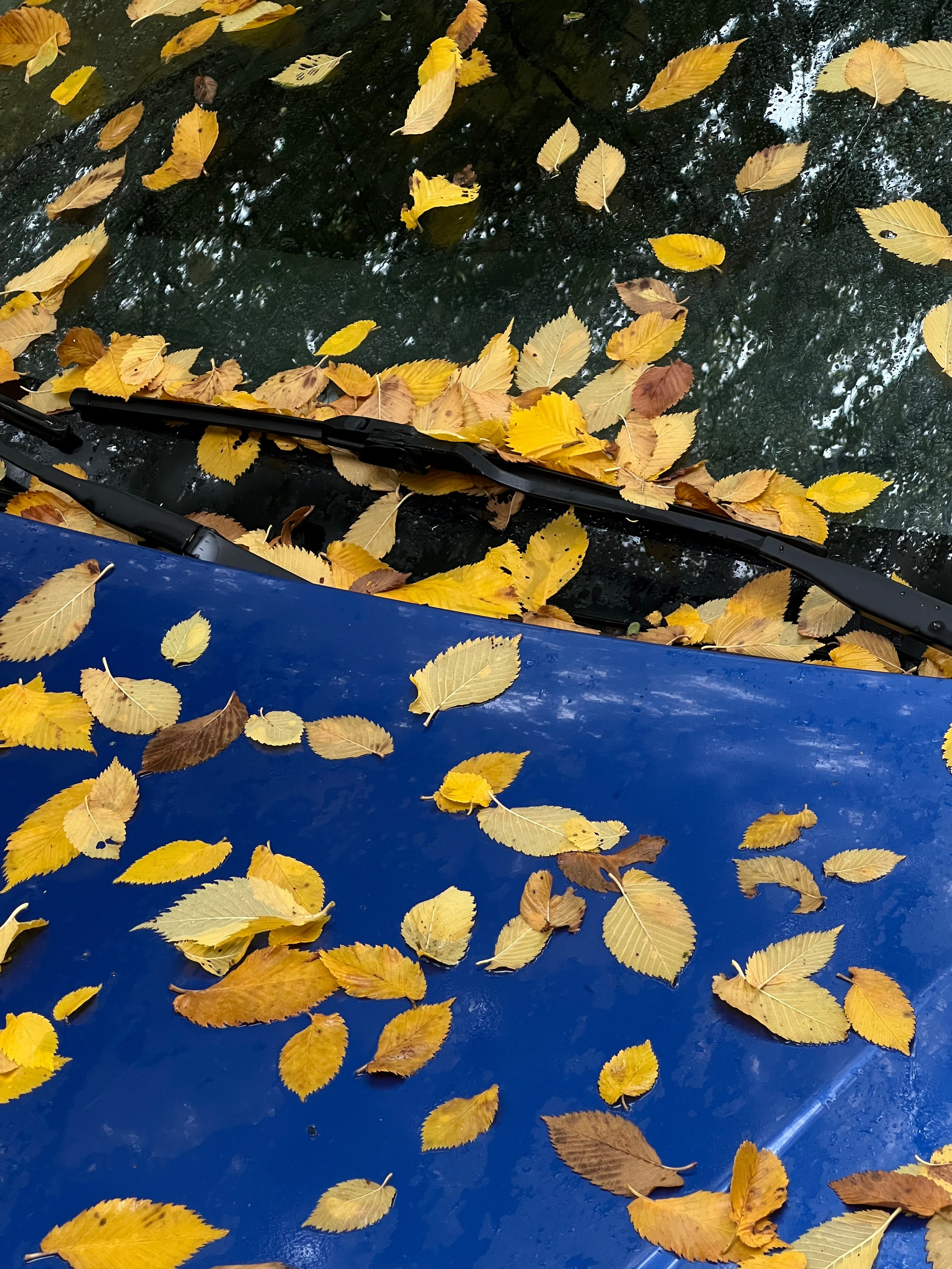 Fragments. Artem Khusainov