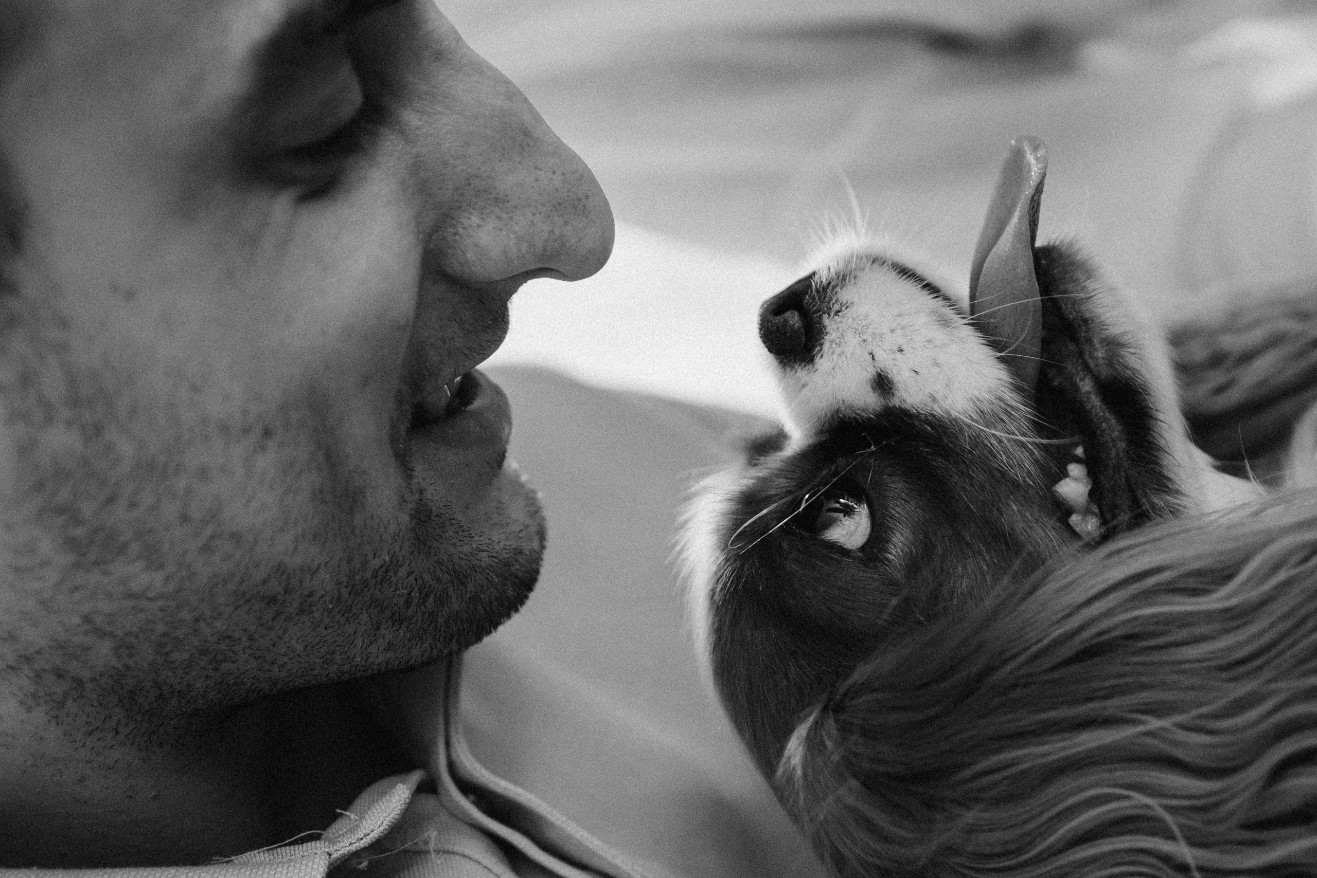 Шерри и ее семья. Фотограф — Анималист | Санкт-Петербург