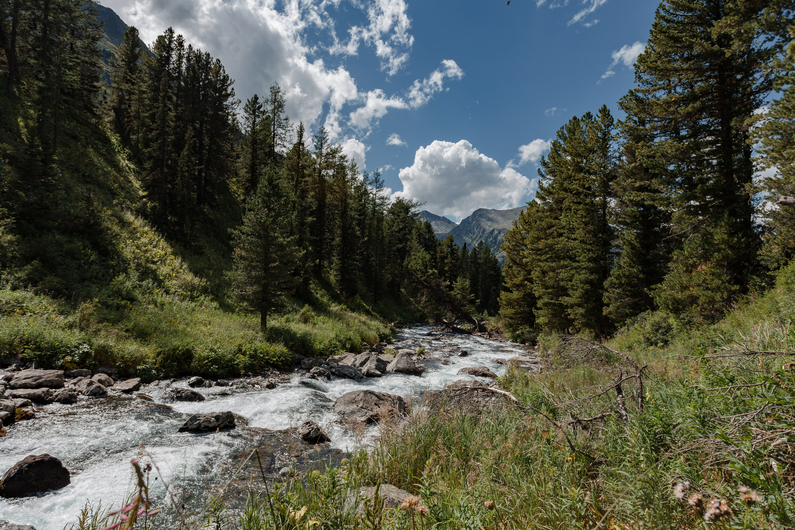 Катунский заповедник, Республика Алтай. Репортажный фотограф в Крыму Ксения Гасица