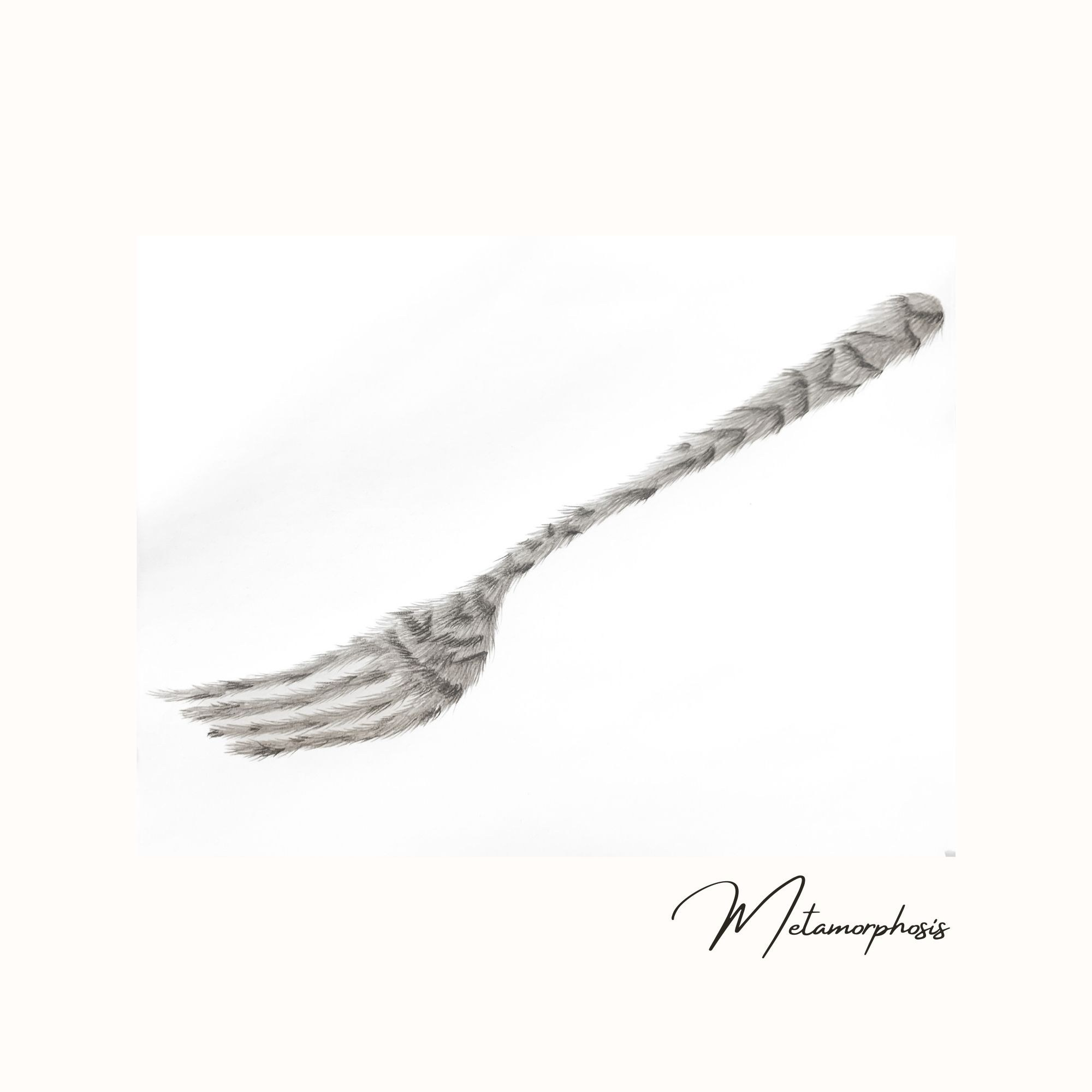 Beyond the tines. Svetlana Lapina, portrait photographer, San Francisco