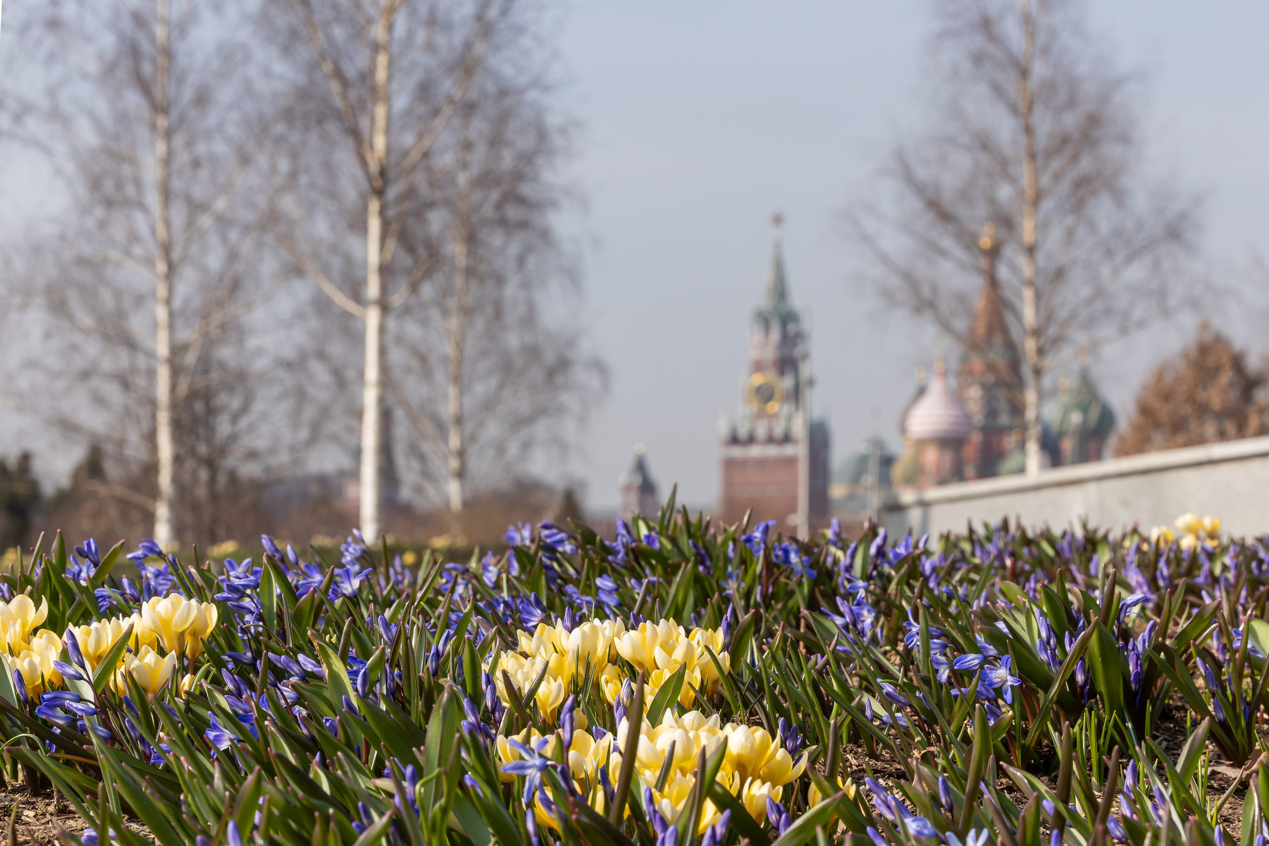 Городской пейзаж. Фотограф Владимир Охрименко