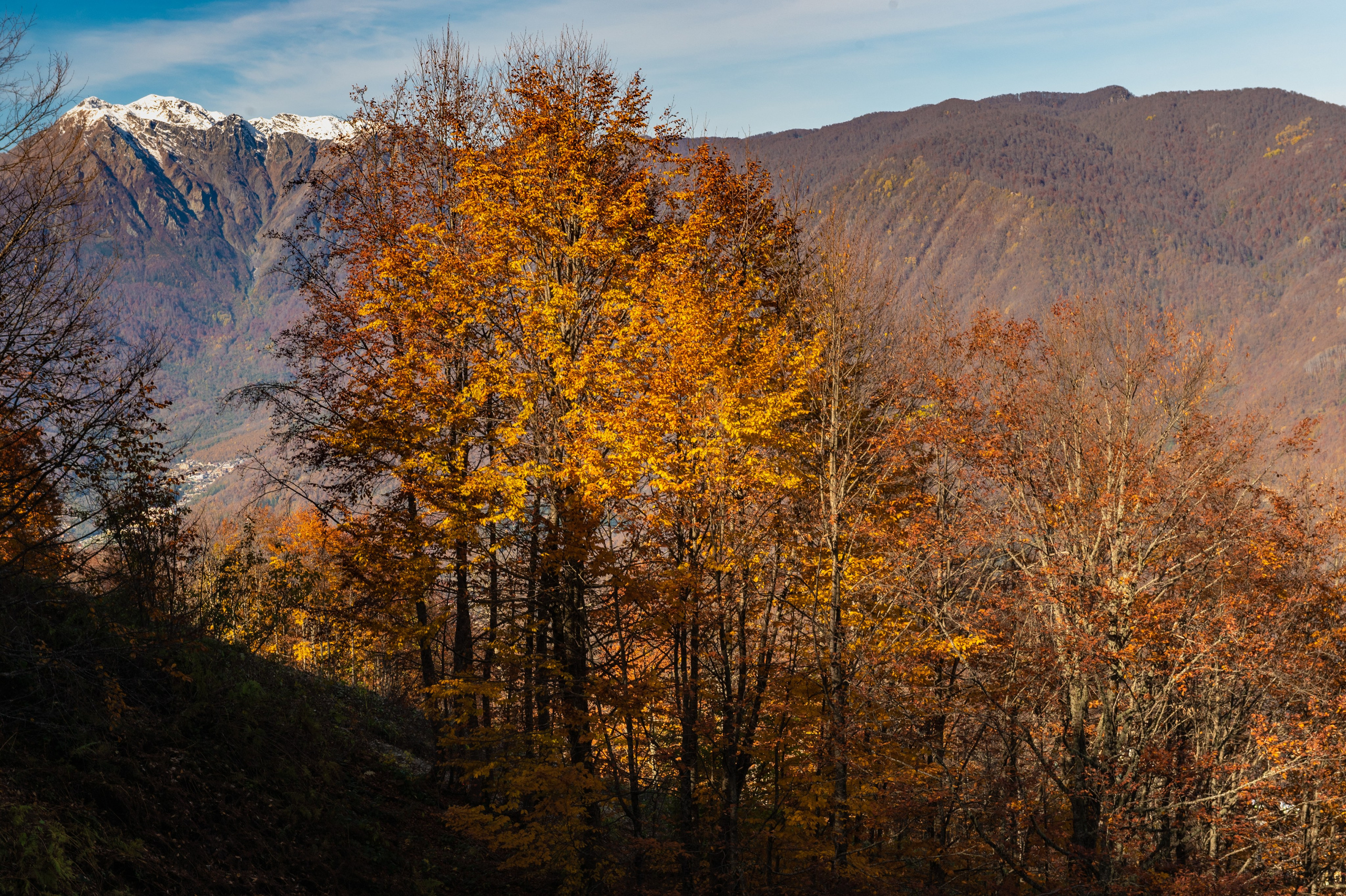 Mice мероприятие — прогулка на водопад Поликаря на курорте Красная Поляна. Репортажный фотограф в Красной Поляне и Сочи Павлюченко Екатерина