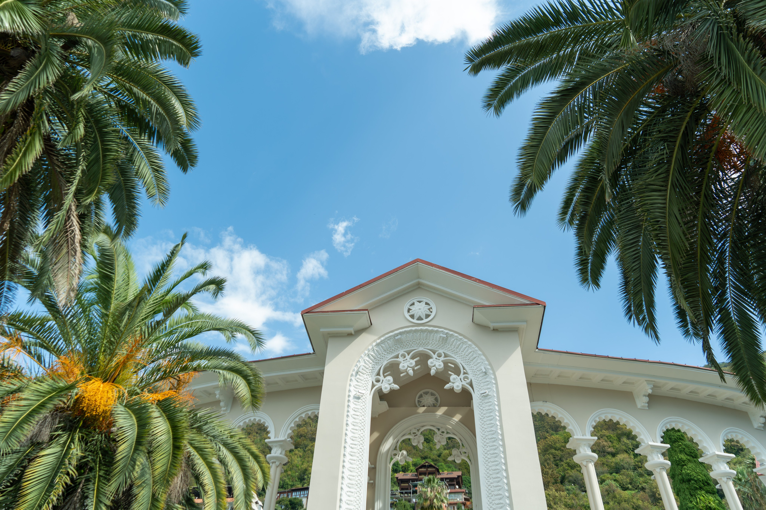 MICE мероприятие — тур по Абхазии. Репортажный фотограф в Красной Поляне и Сочи Павлюченко Екатерина