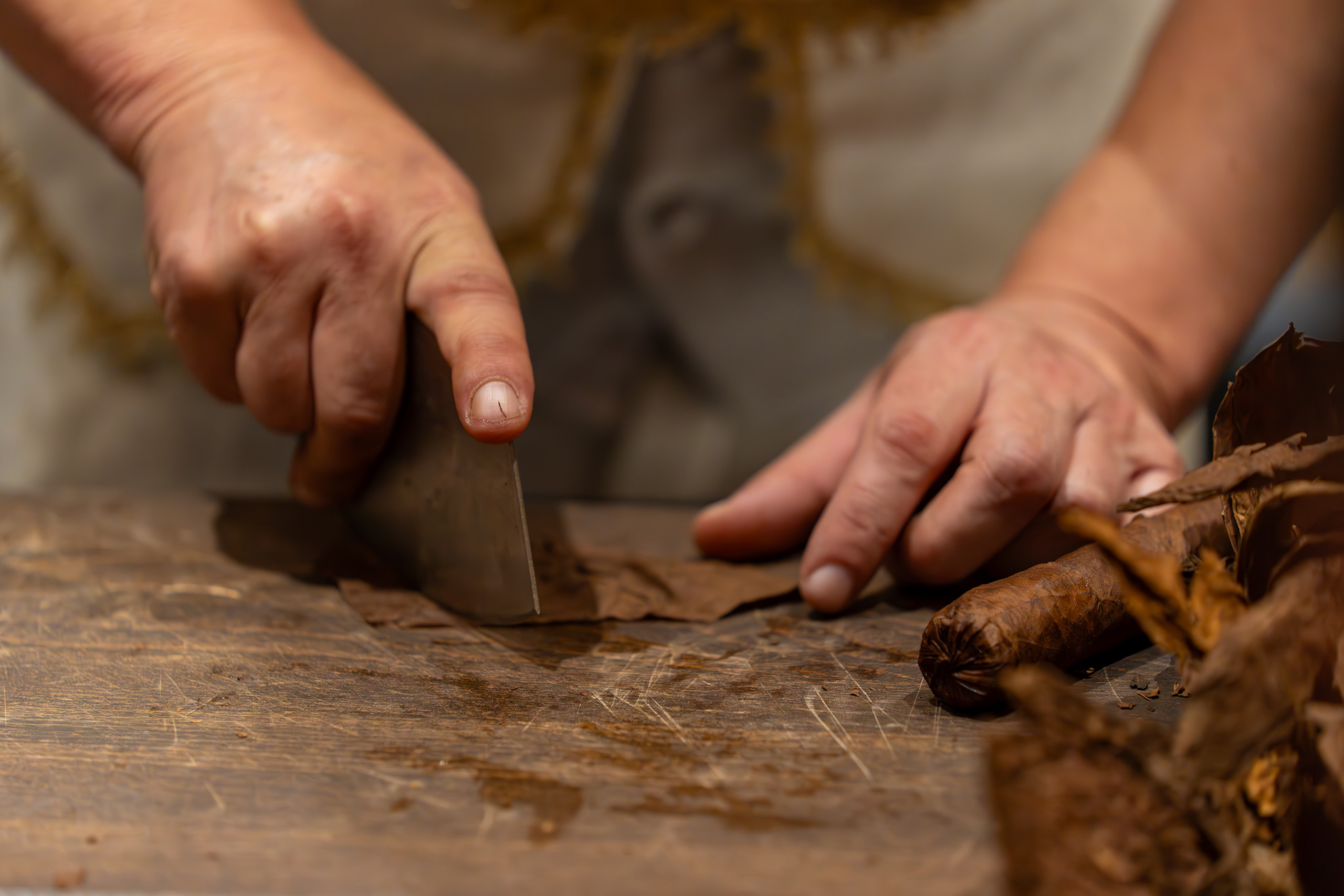 MICE мероприятие для компании «Базис». Репортажный фотограф в Красной Поляне и Сочи Павлюченко Екатерина