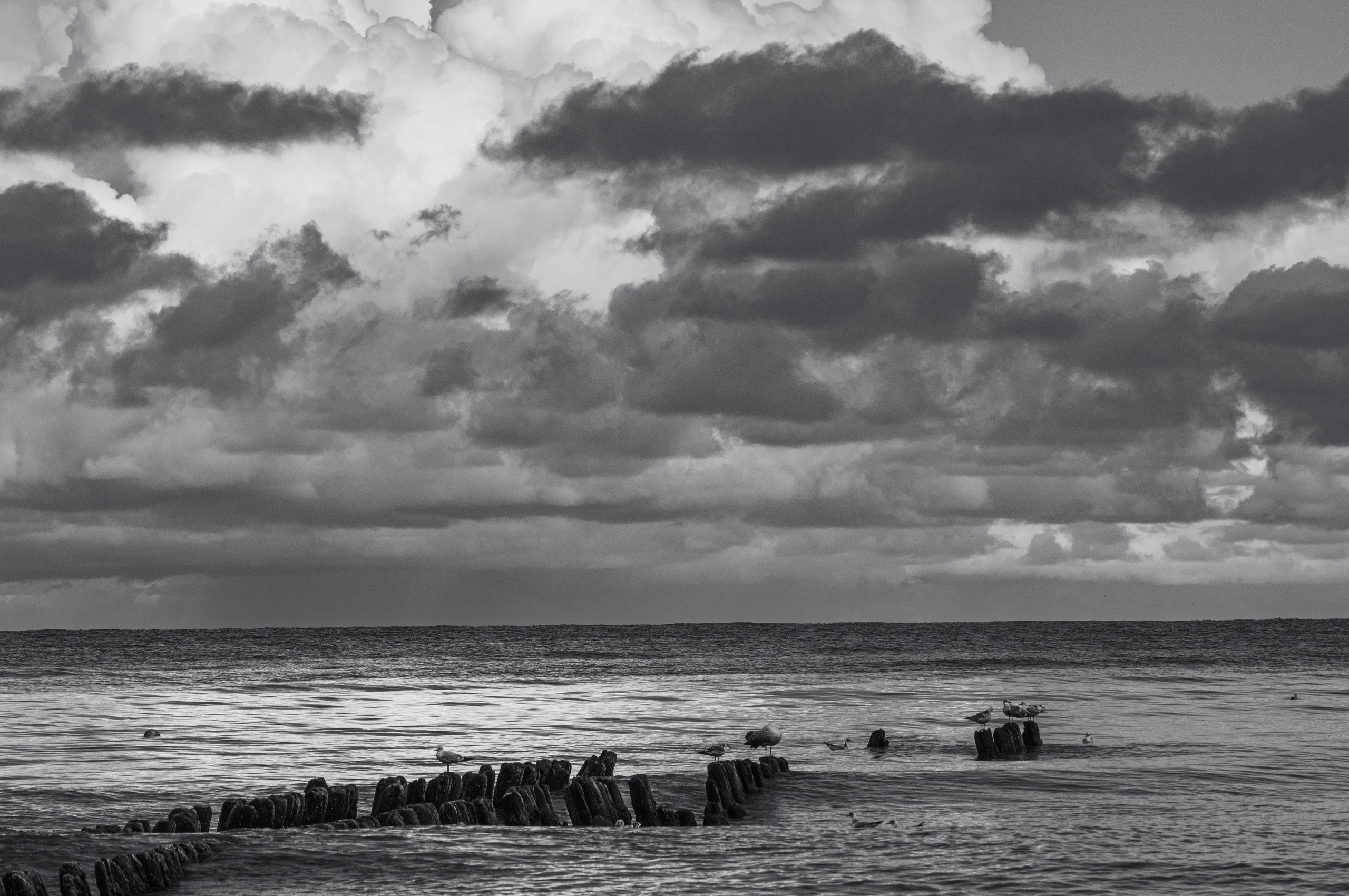 Калининград. Фотограф Шибков Константин