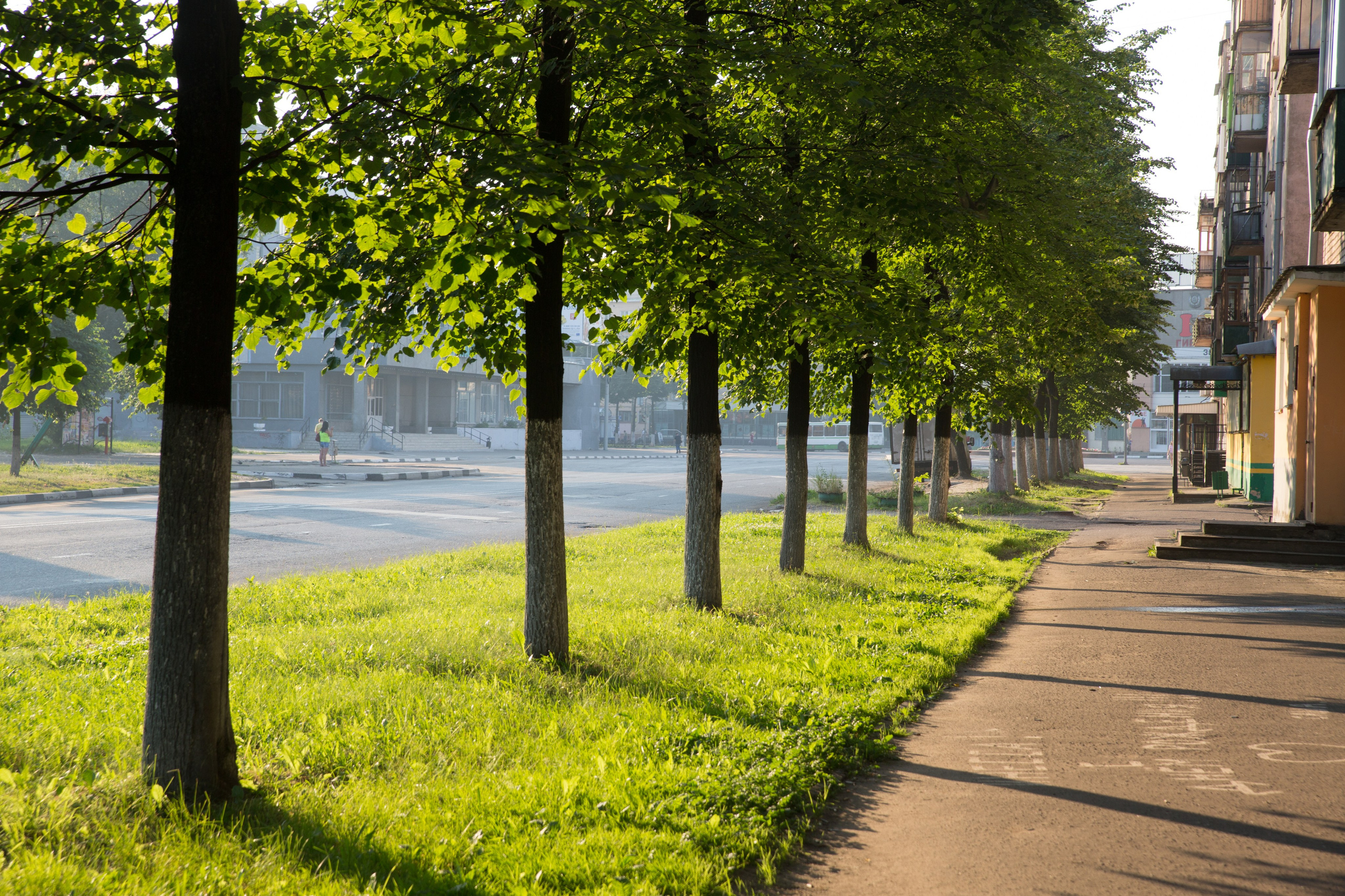 Г. Ярославль. Студия Максима Белослюдцева