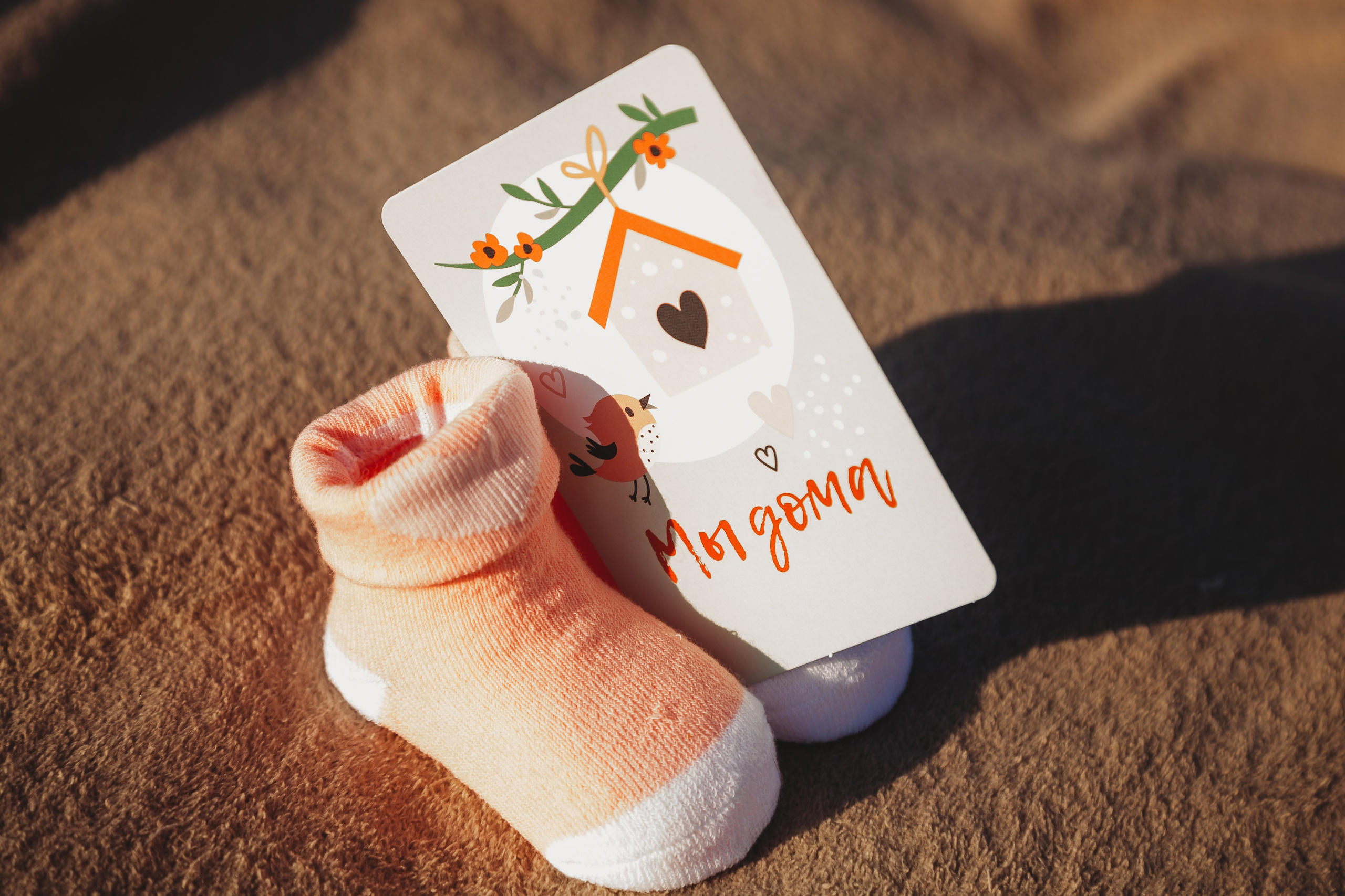 🤍. Екатерина Королева. Фотограф. Хабаровск