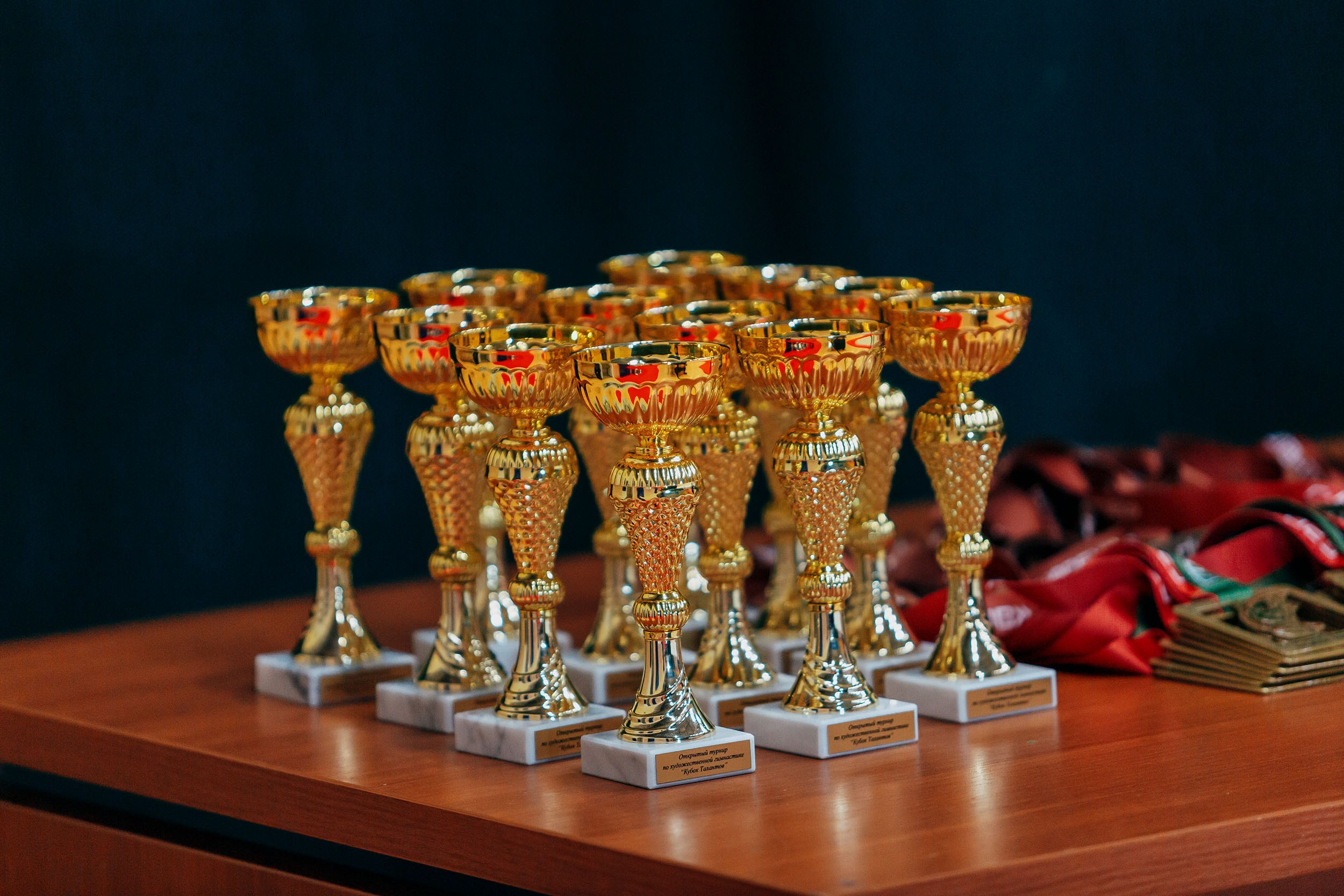 Открытый турнир по художественной гимнастике «Кубок Талантов» Казань. Спортивный фотограф Александр Васильев. RG и AGG