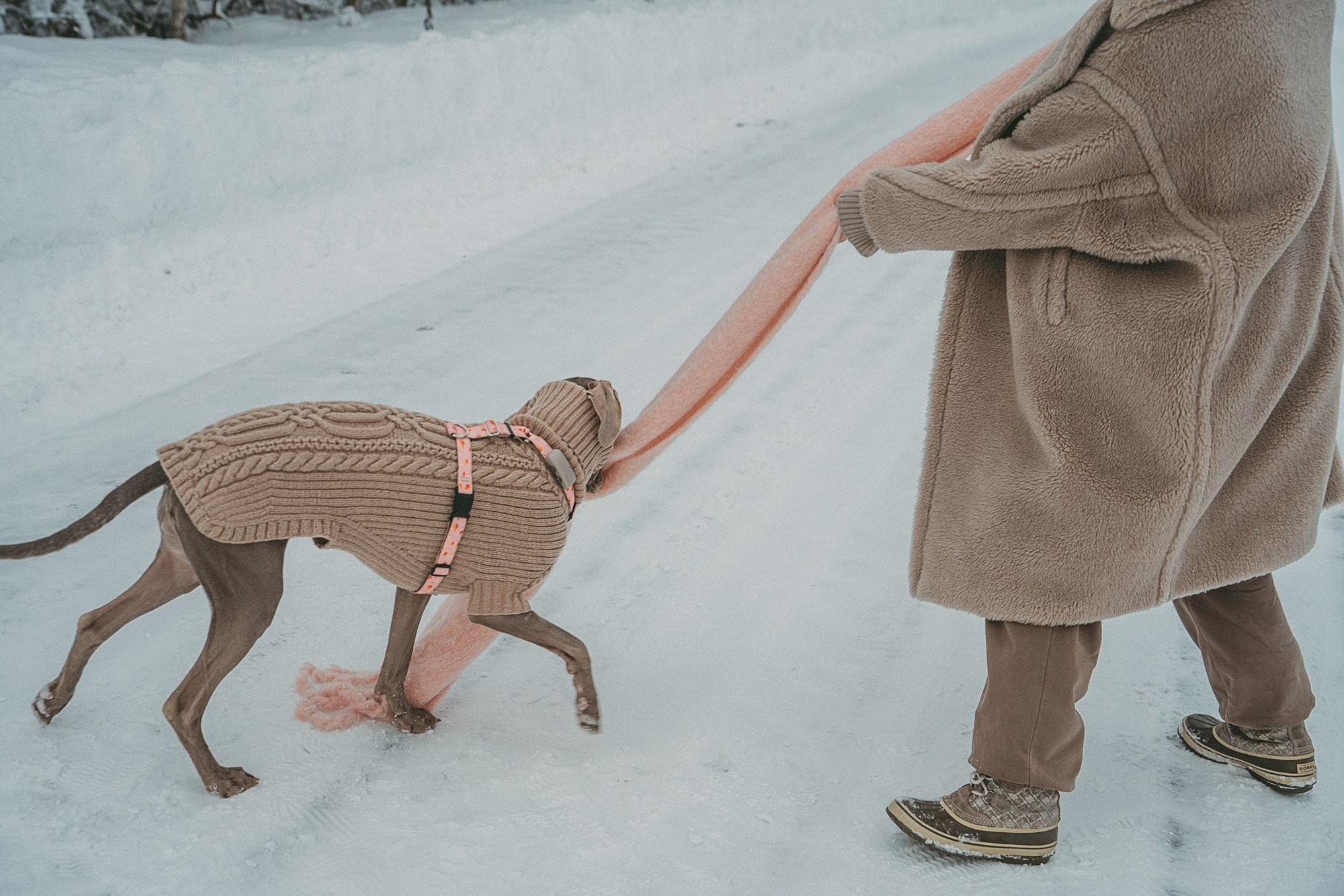 Лена и Фанни. Фотограф анималист в Москве и Санкт-Петербурге Свиридова Анна