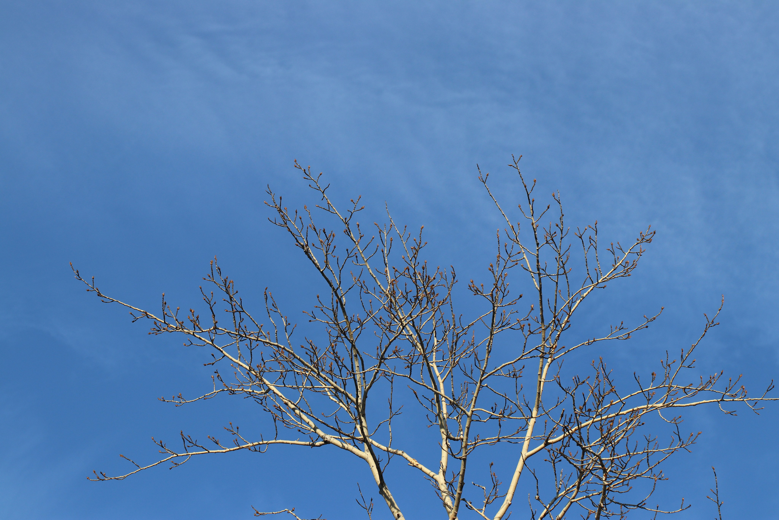 Аршан. Январь 2022. Путешественник-фотограф из Санкт-Петербурга Татьяна Свистулина